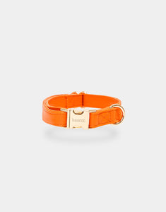 Signature Collar in Orange