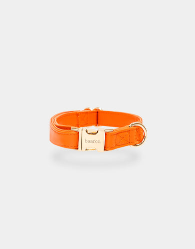 Signature Collar in Orange