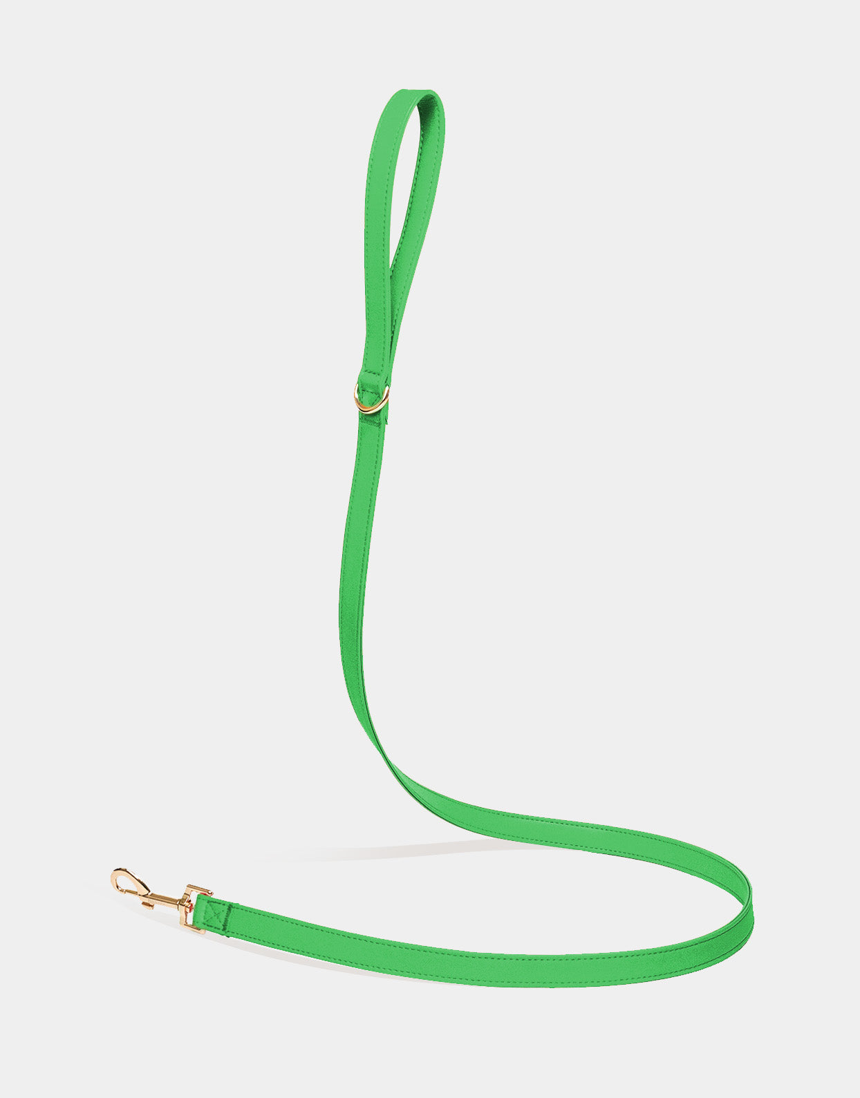 Dog Leash in Signature Green