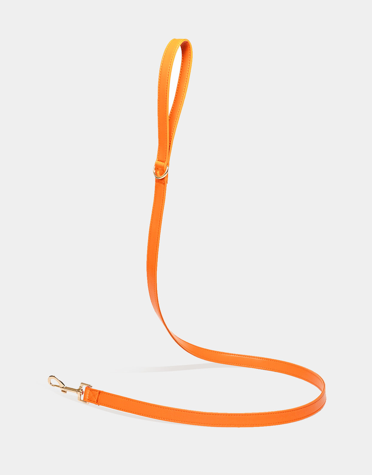 Dog Leash in Signature Orange