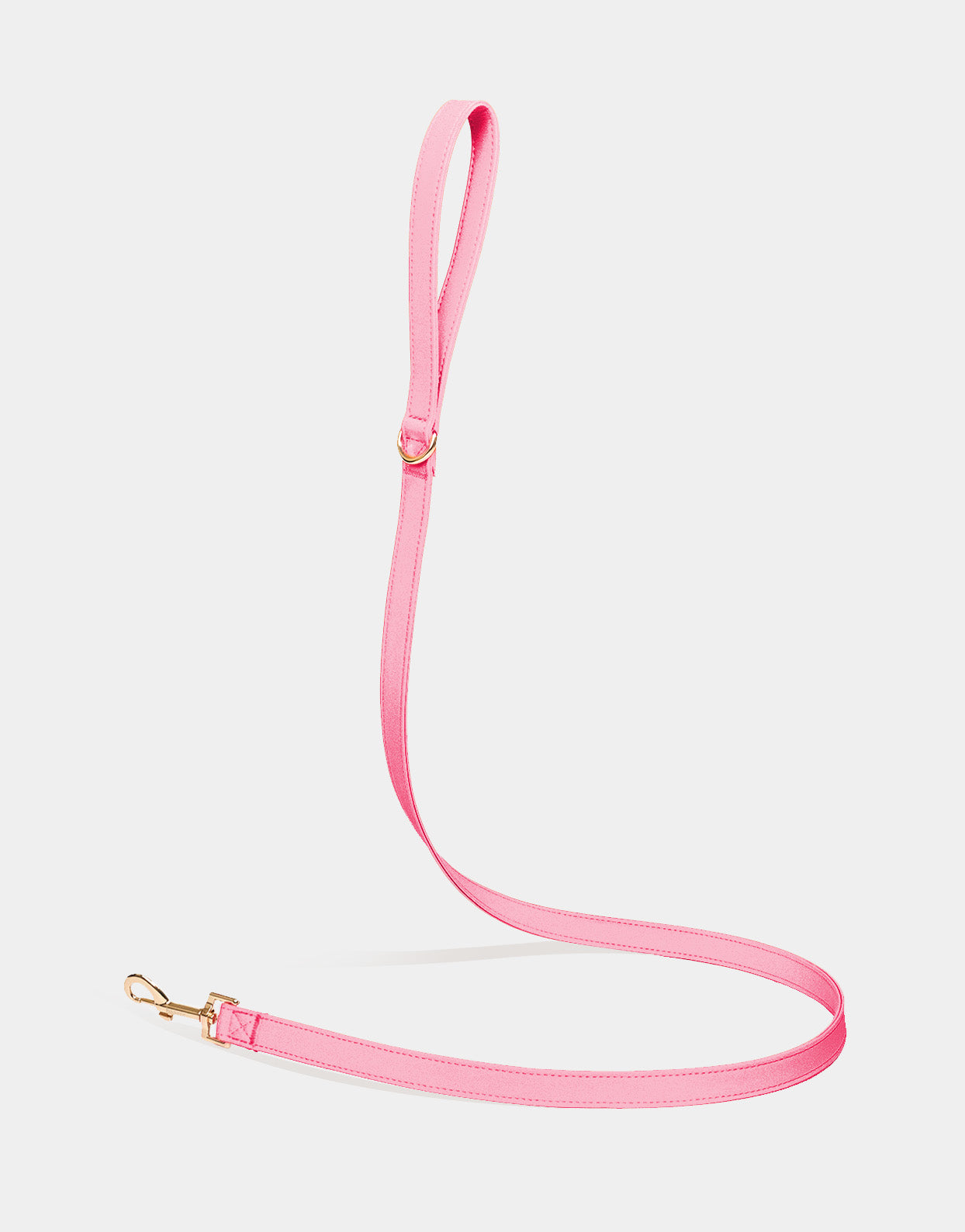 Dog Leash in Signature Pink