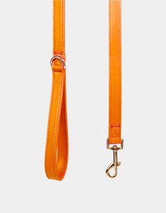 Signature Leash in Orange