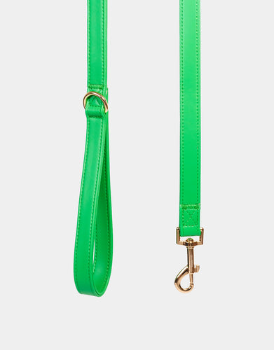 Signature Leash in Green