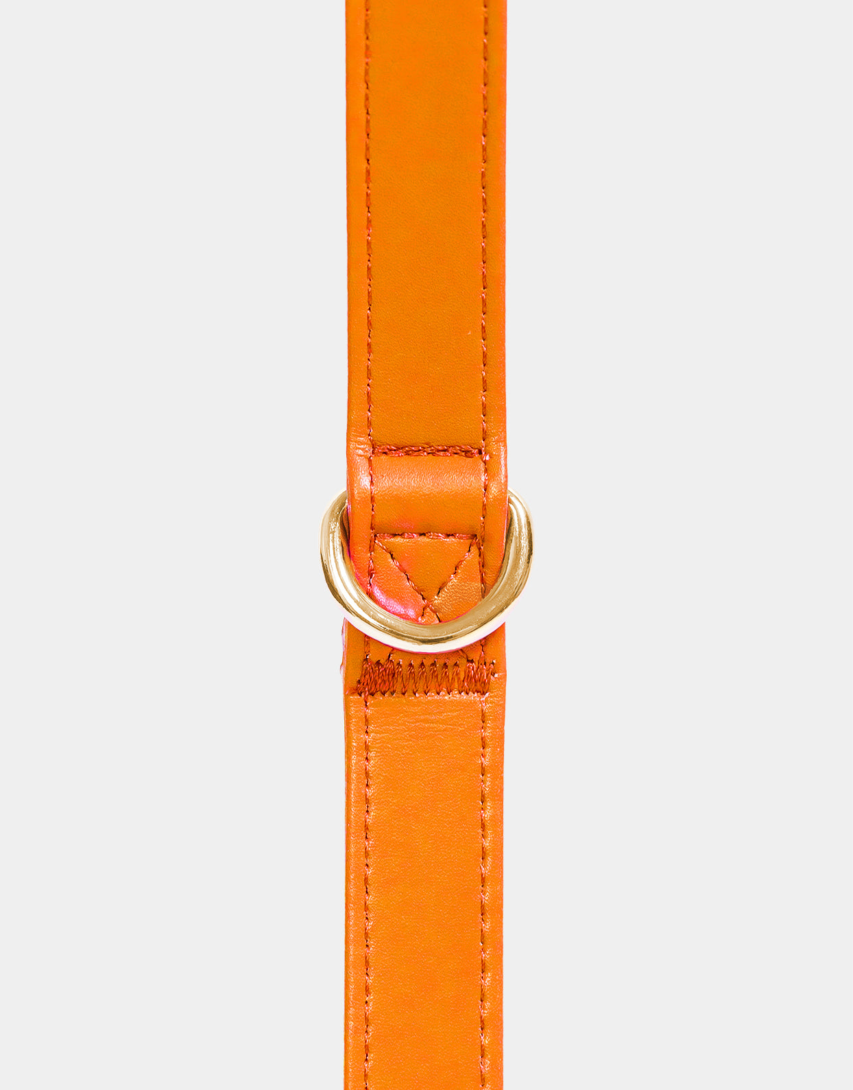 Dog Leash in Signature Orange