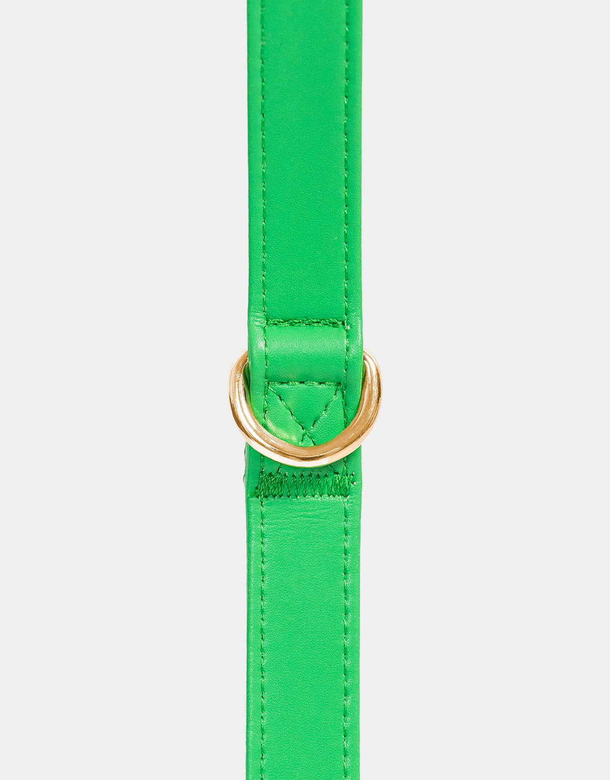 Signature Leash in Green