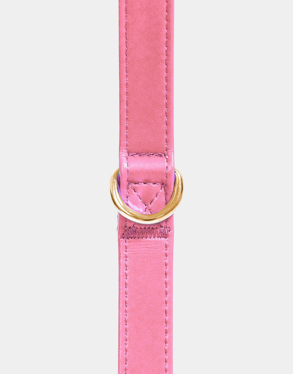 Dog Leash in Signature Pink