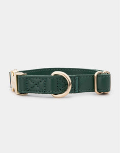 Classic Collar in Green