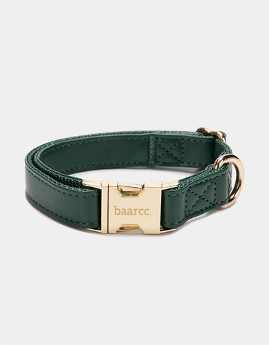 Classic Collar in Green