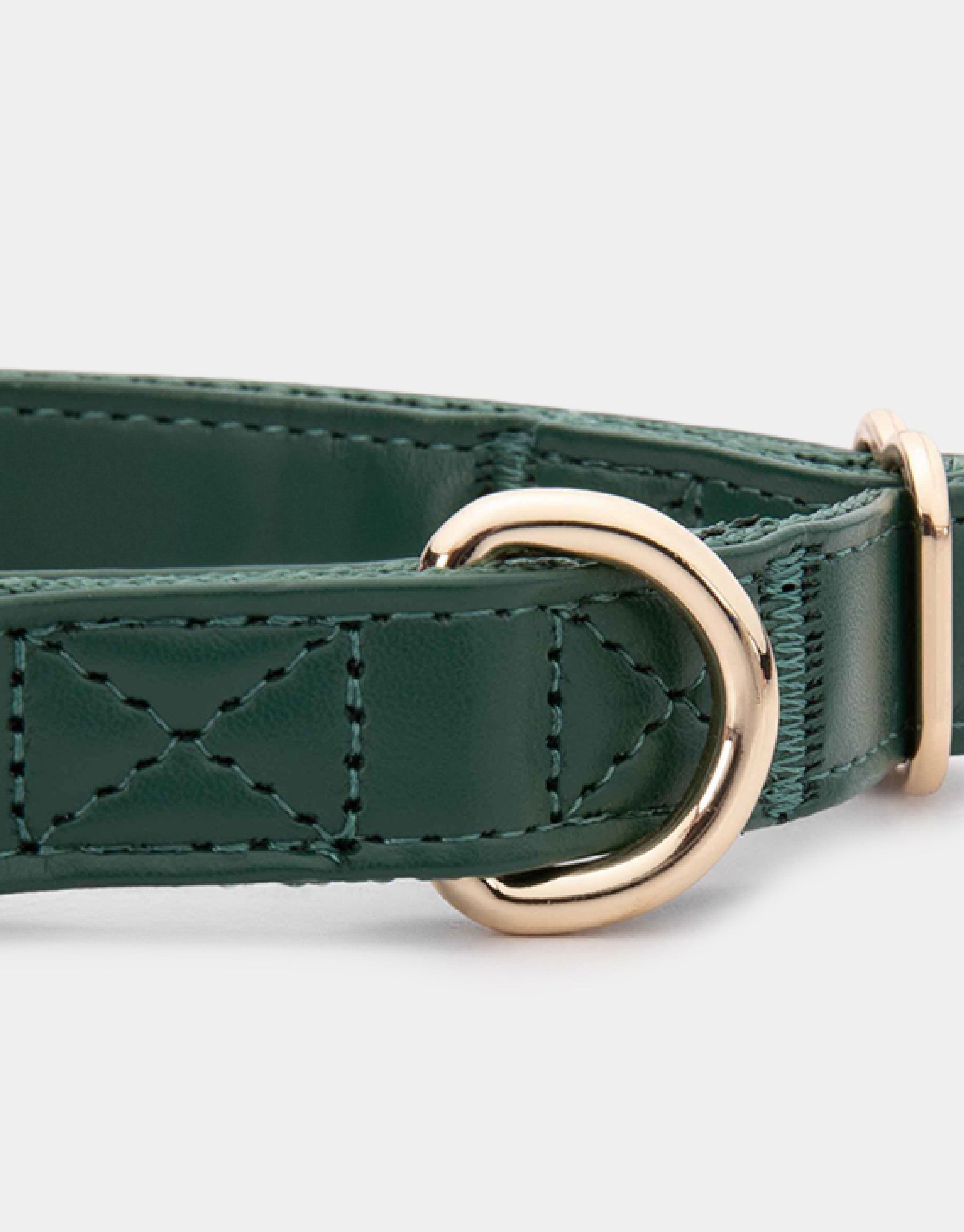Dog Collar in Classic Green