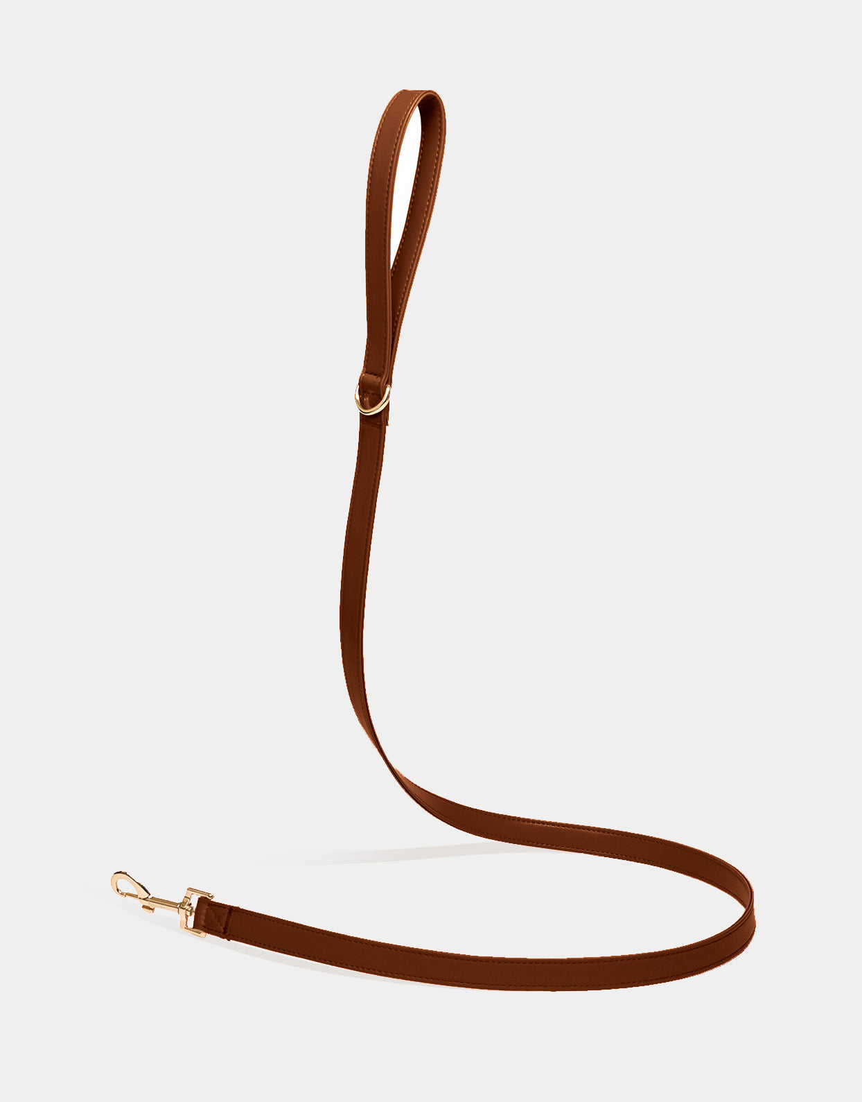 Dog Leash in Brown