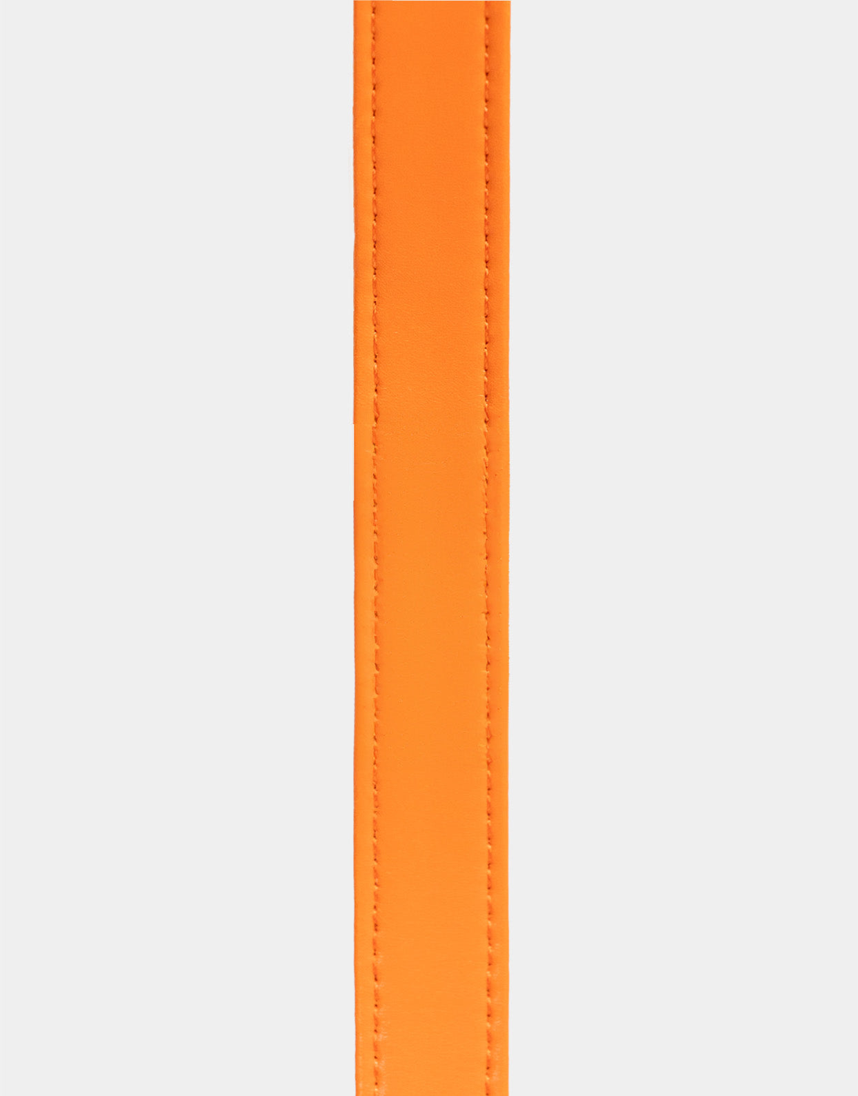Dog Leash in Signature Orange
