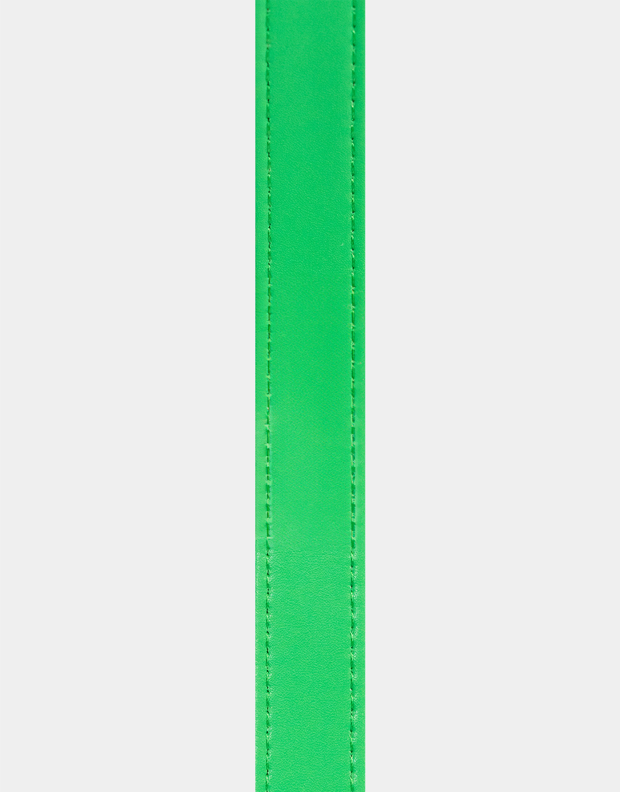 Dog Leash in Signature Green
