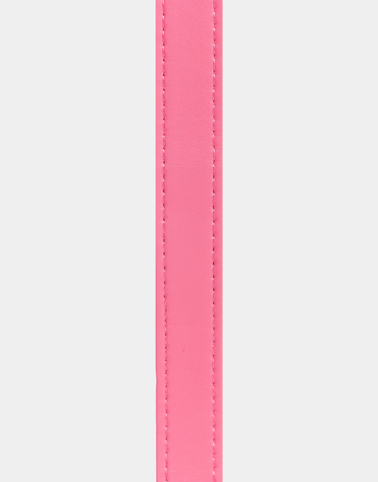 Dog Leash in Signature Pink