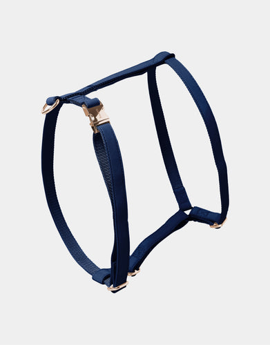 Classic Harness in Blue