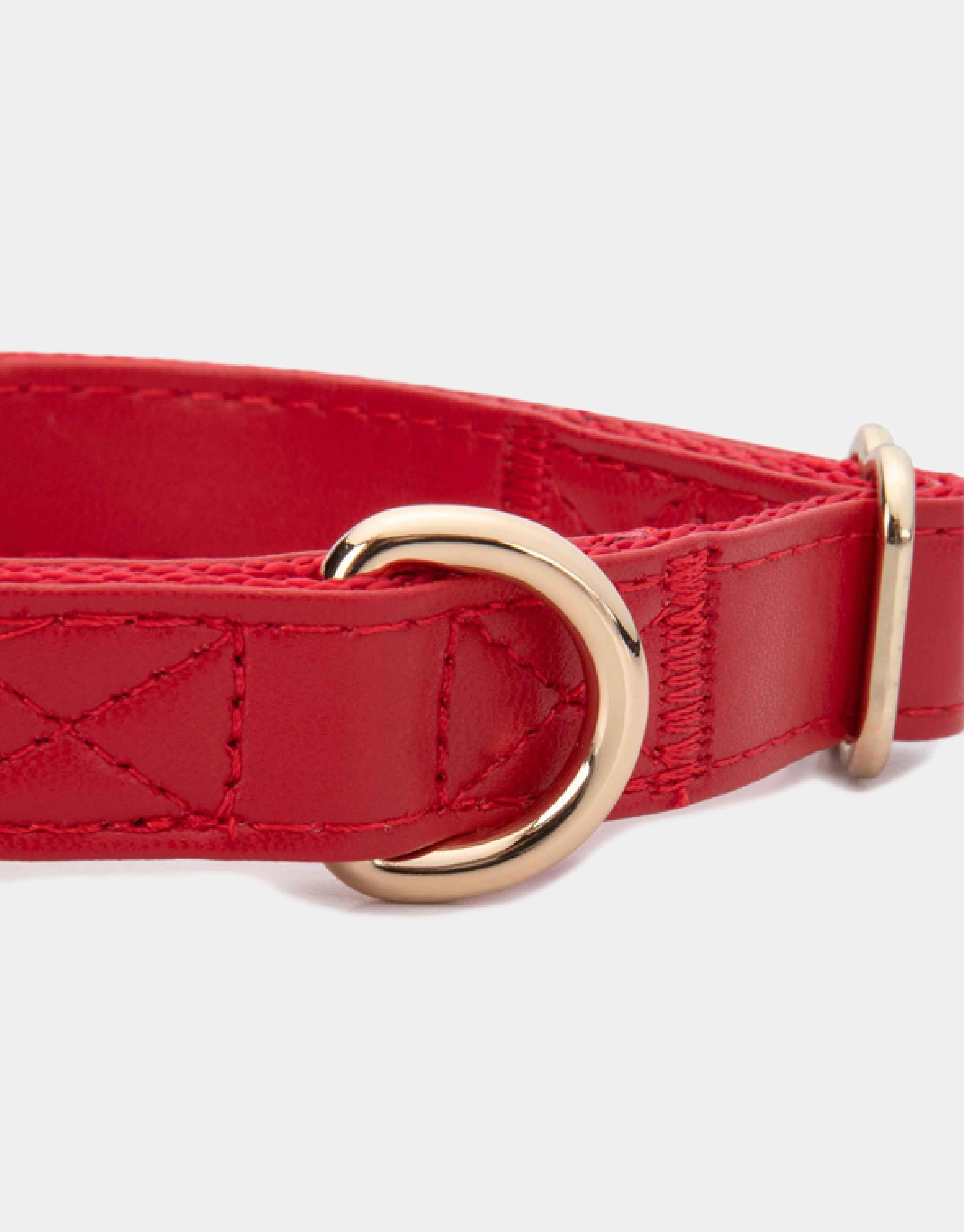 Dog Collar in Red
