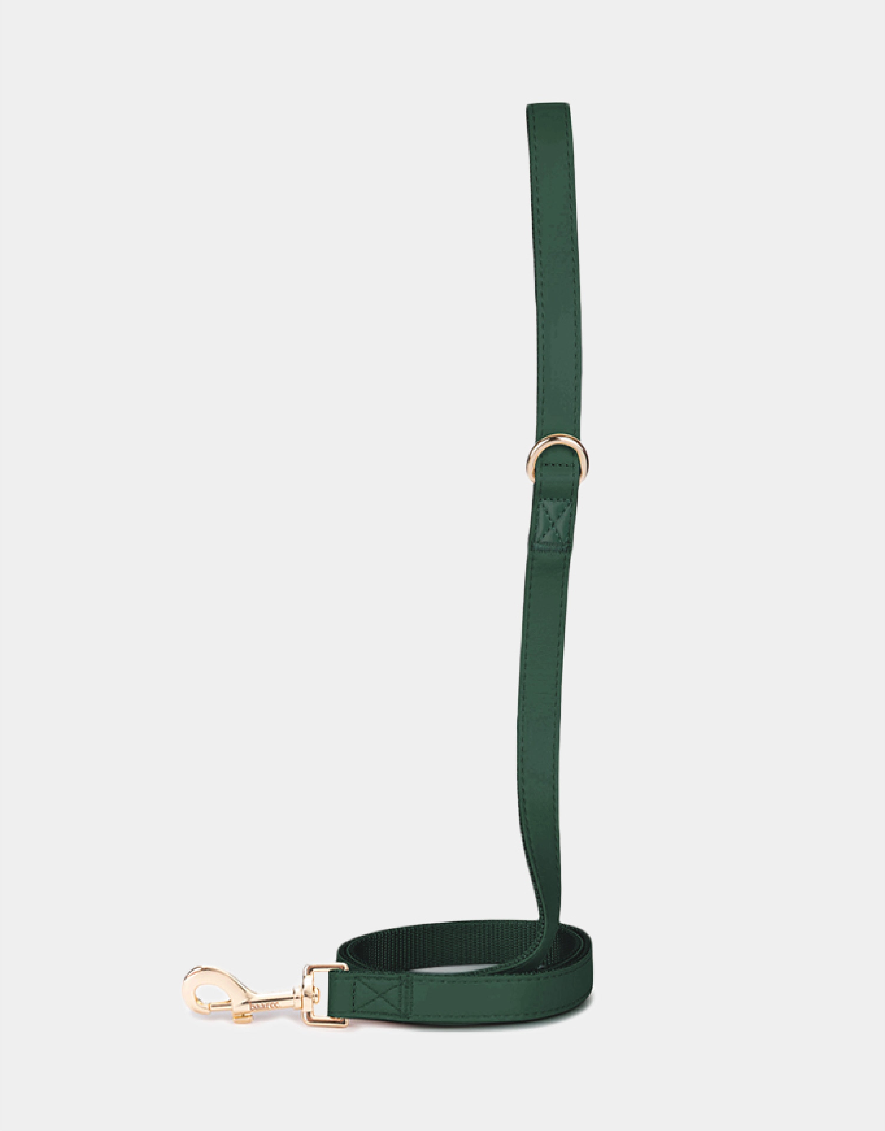 Dog Leash in Classic Green