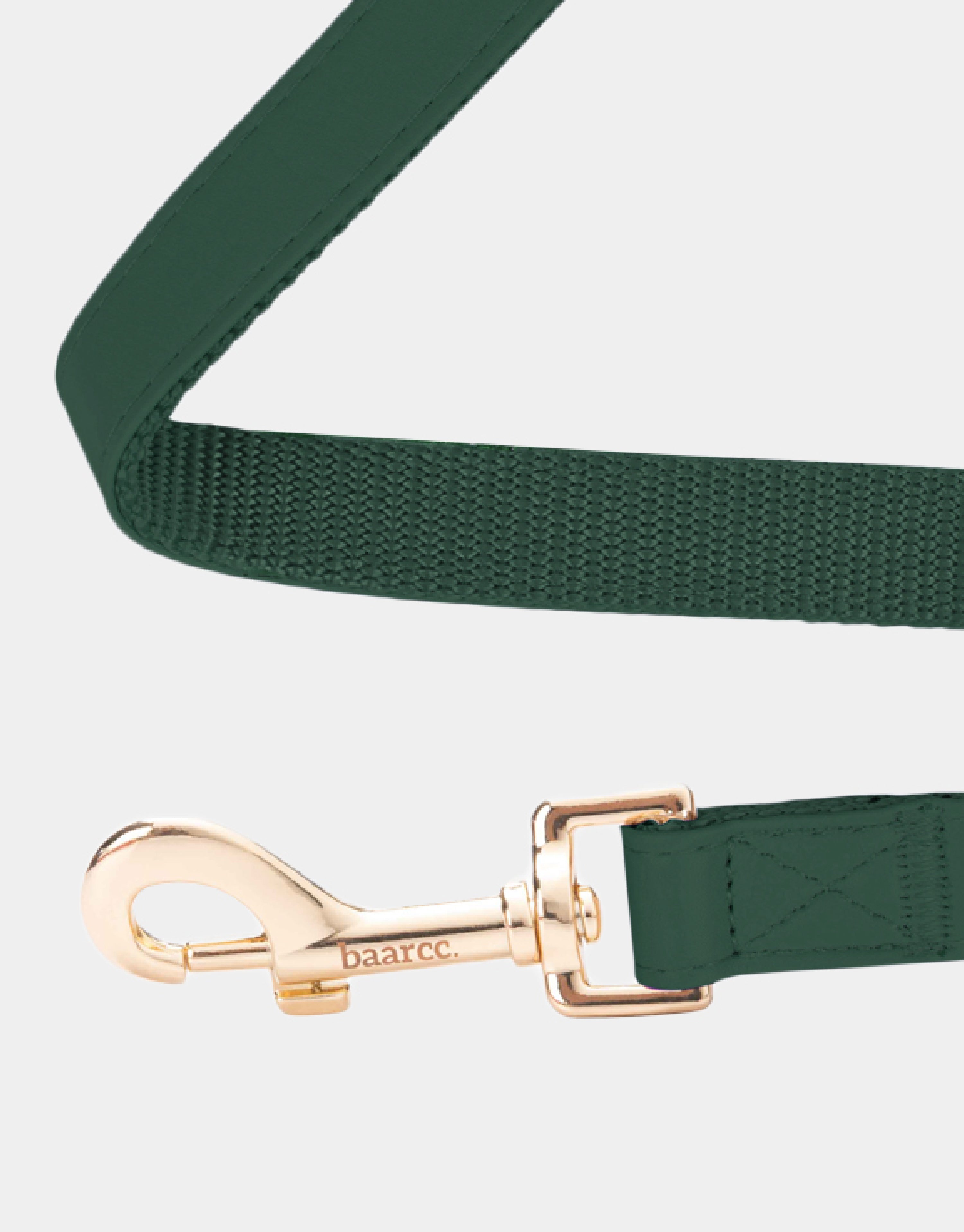 Dog Leash in Classic Green