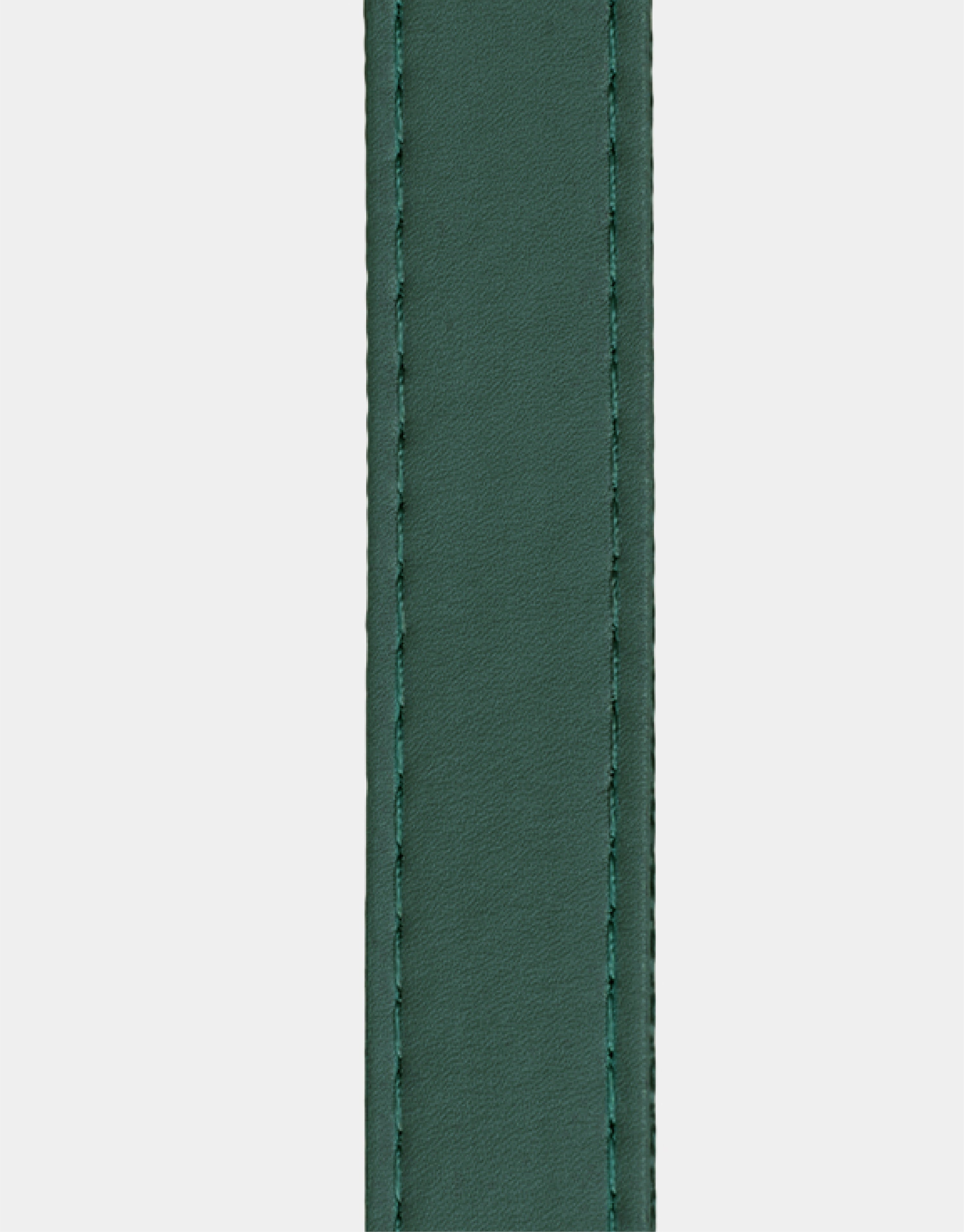 Dog Leash in Classic Green