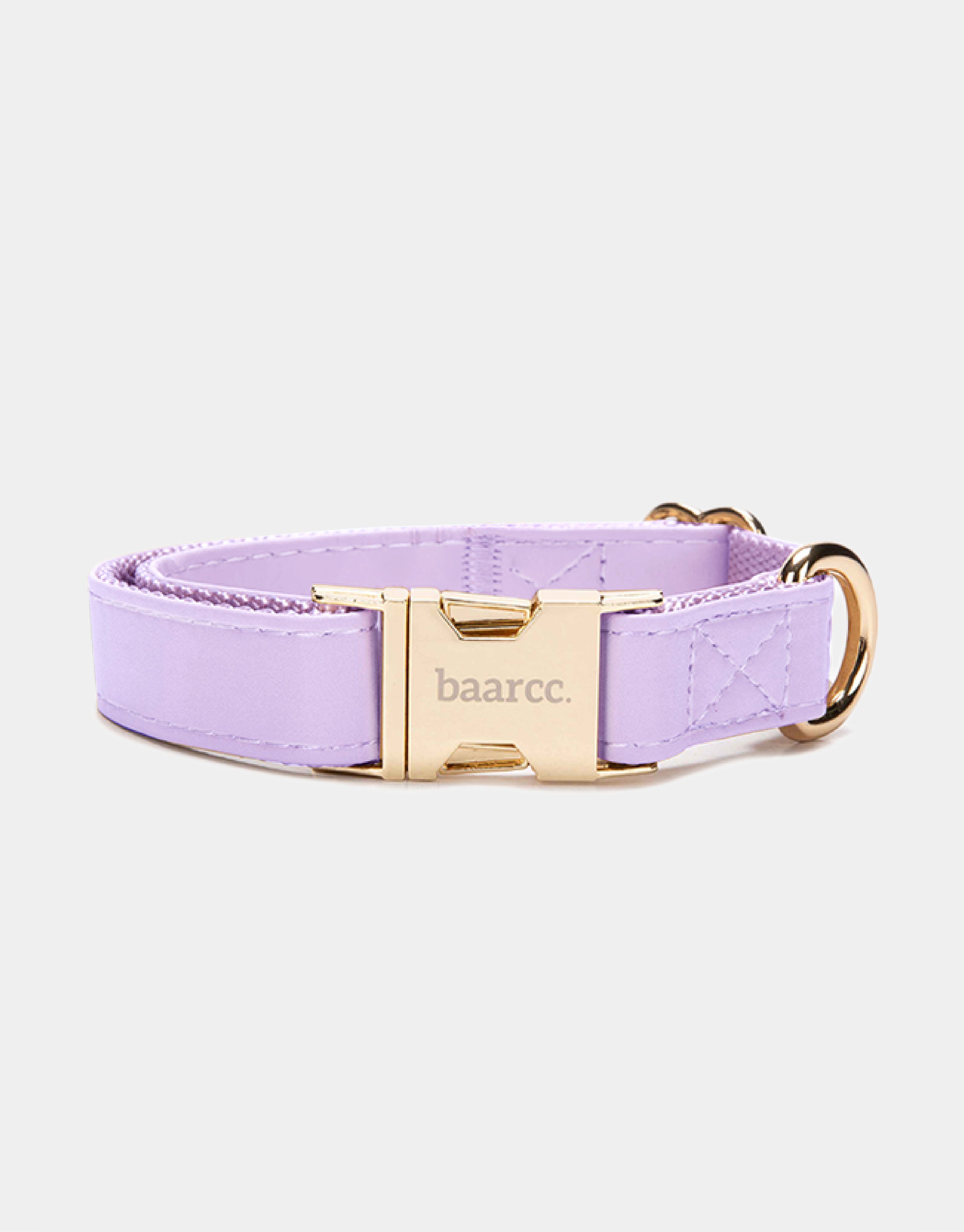 Dog Collar in Purple