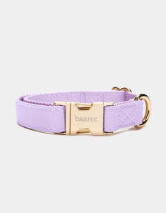 Classic Collar in Purple