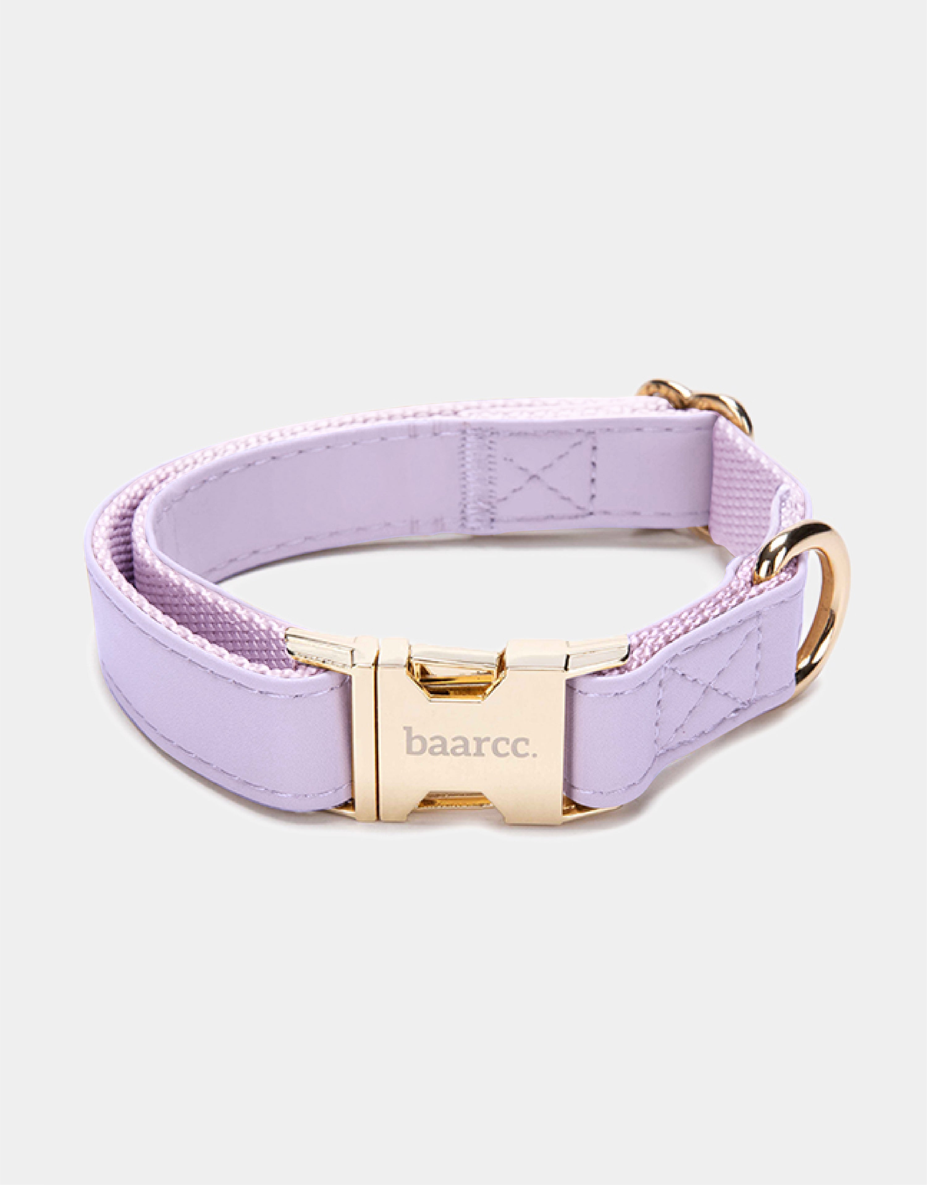 Dog Collar in Purple