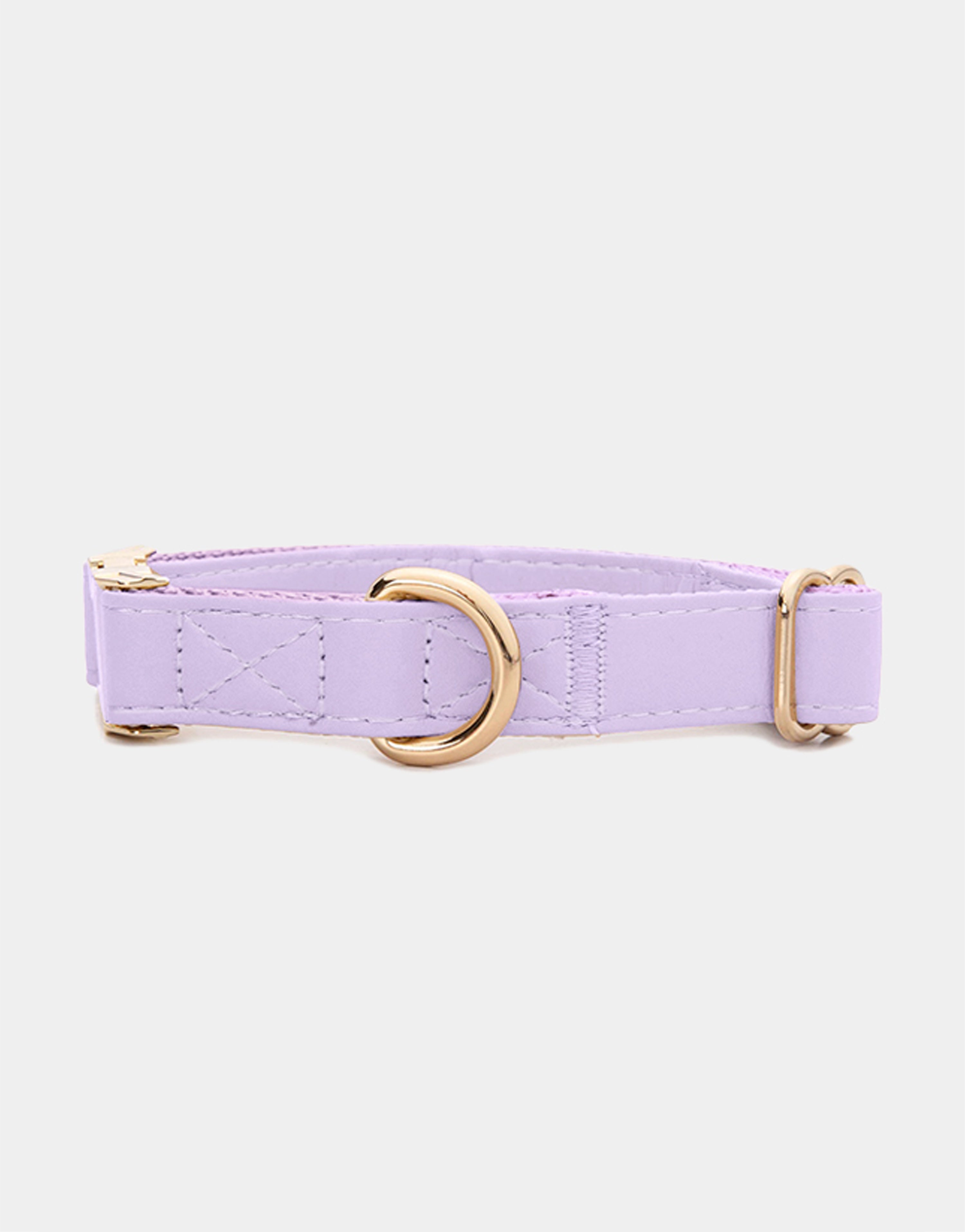 Dog Collar in Purple