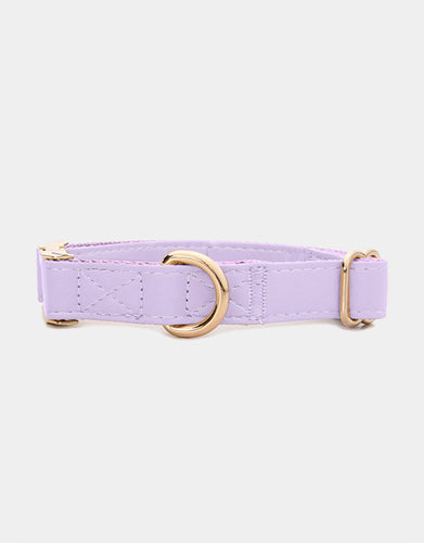 Classic Collar in Purple