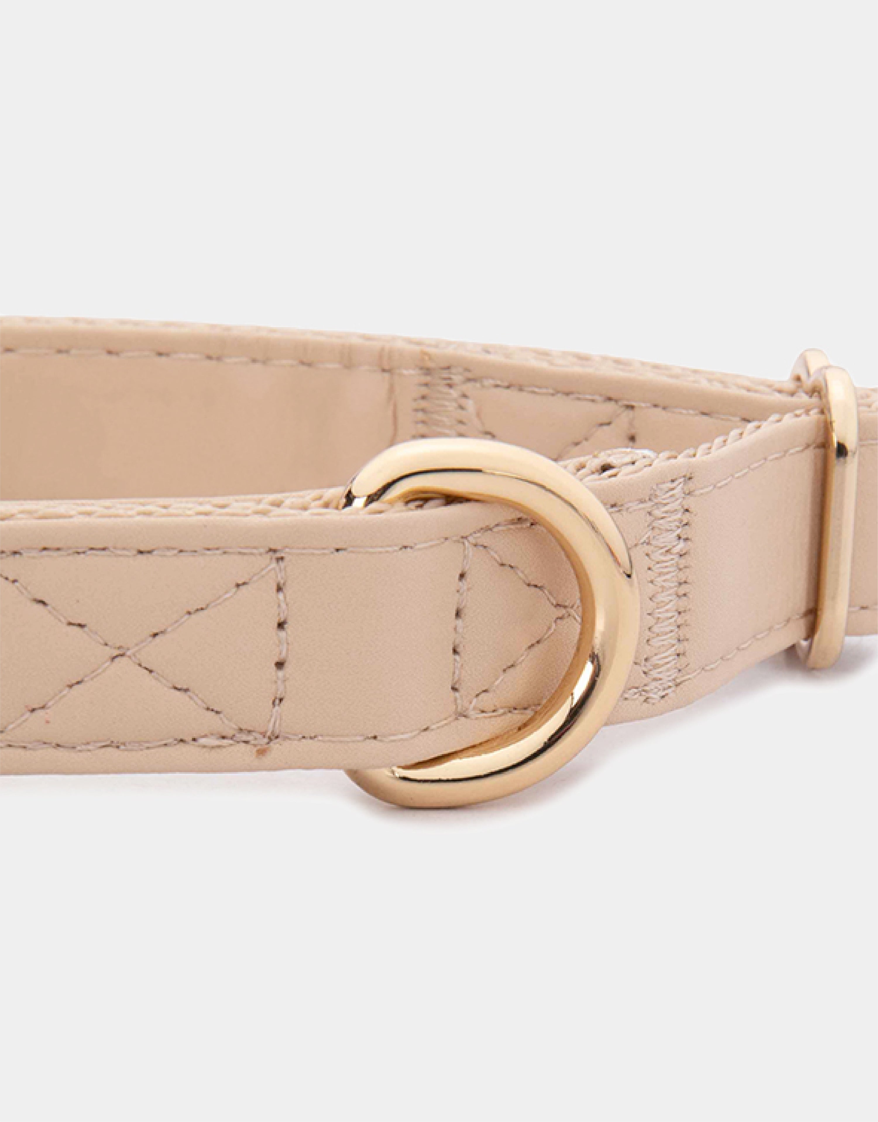 Dog Collar in Beige