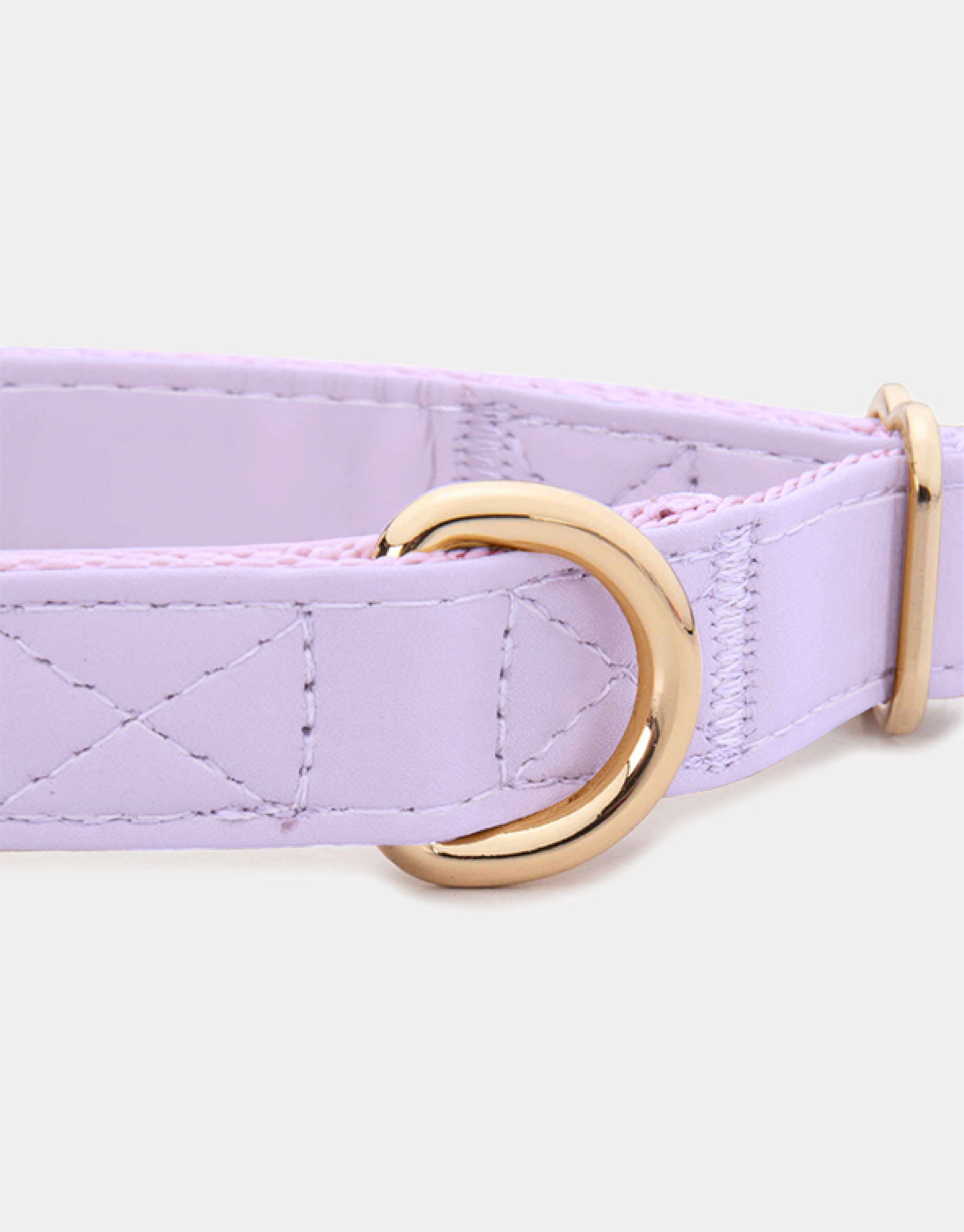 Dog Collar in Purple