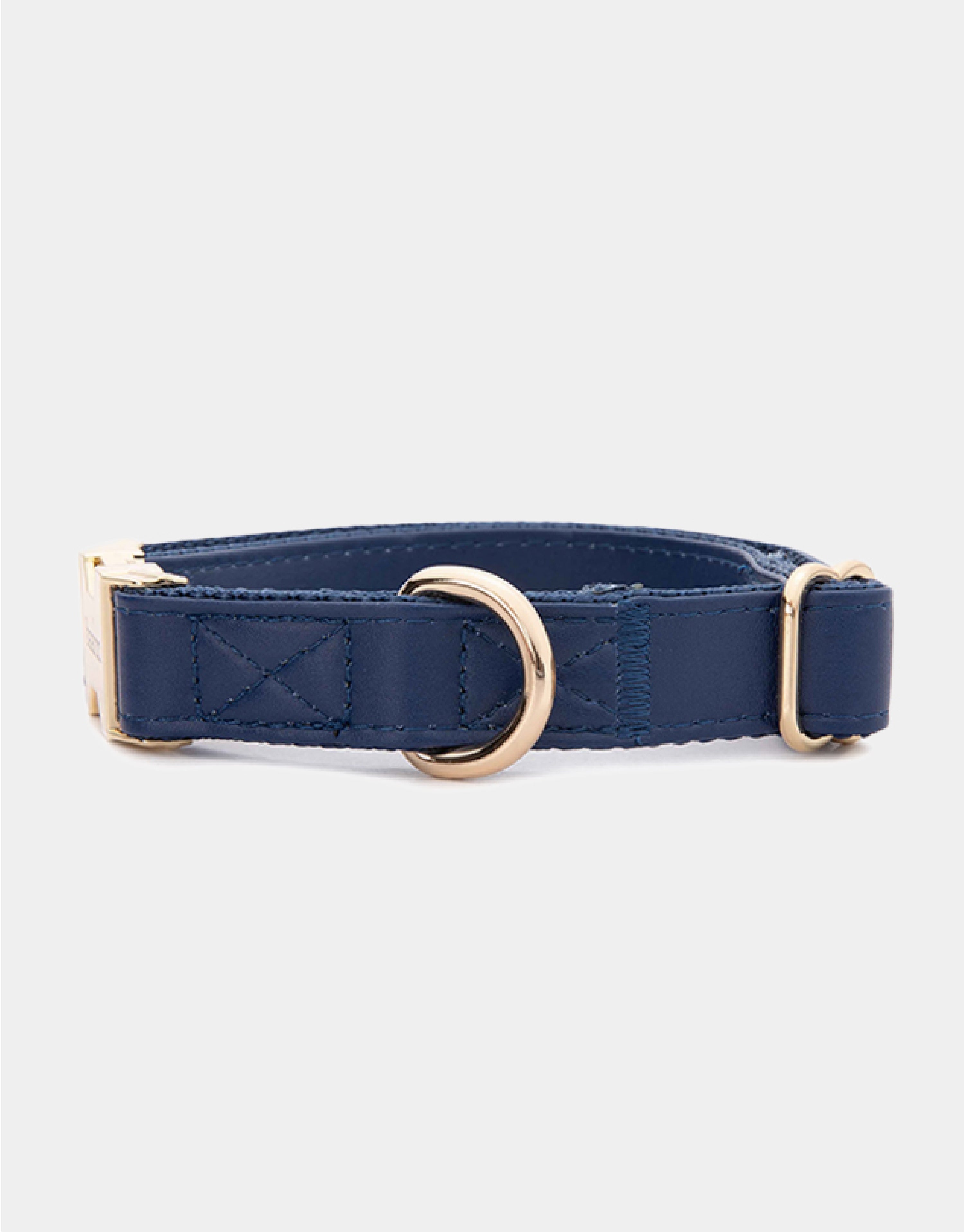 Dog Collar in Blue