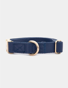 Classic Collar in Blue