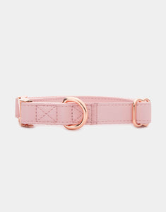 Classic Collar in Pink