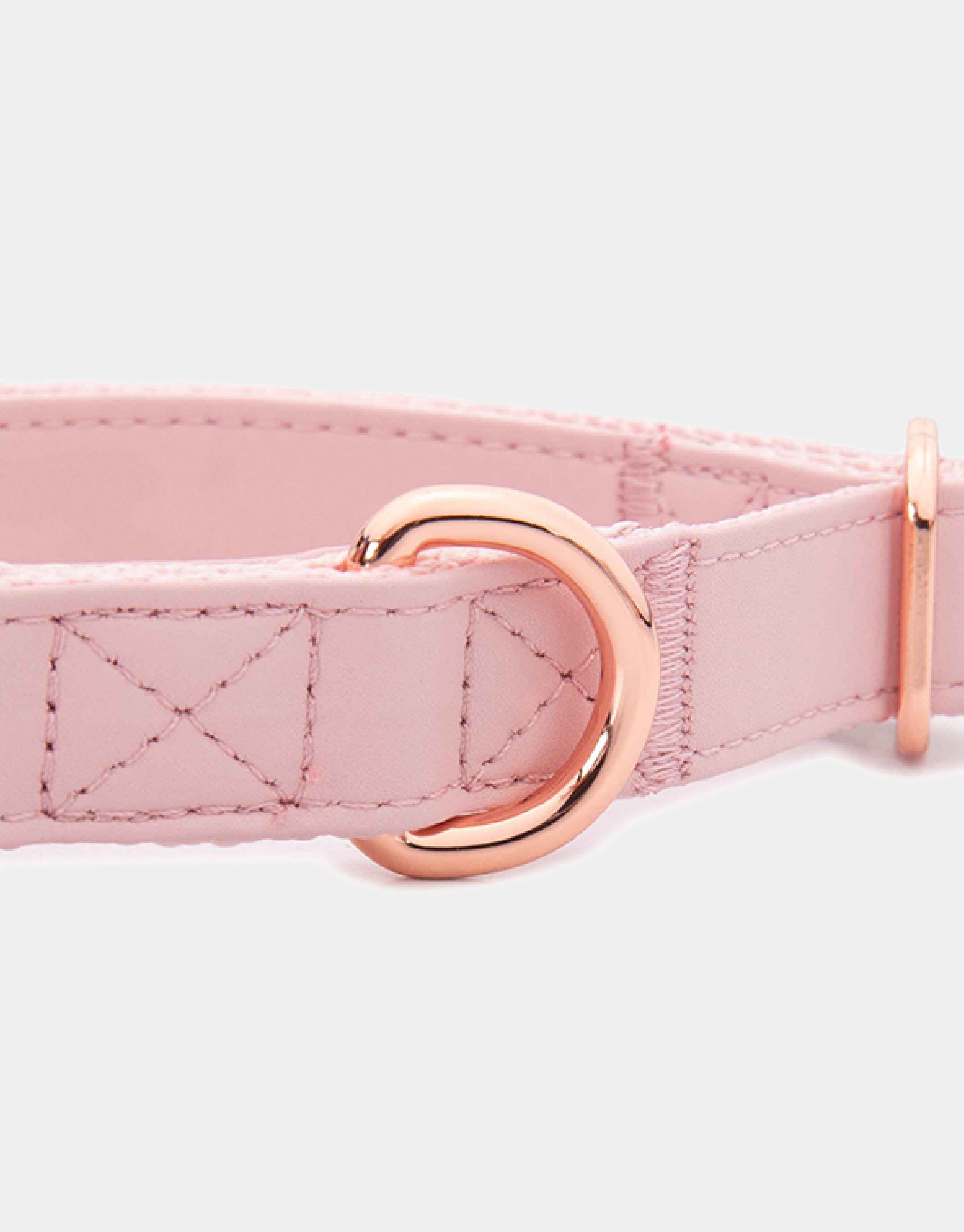 Dog Collar in Classic Pink