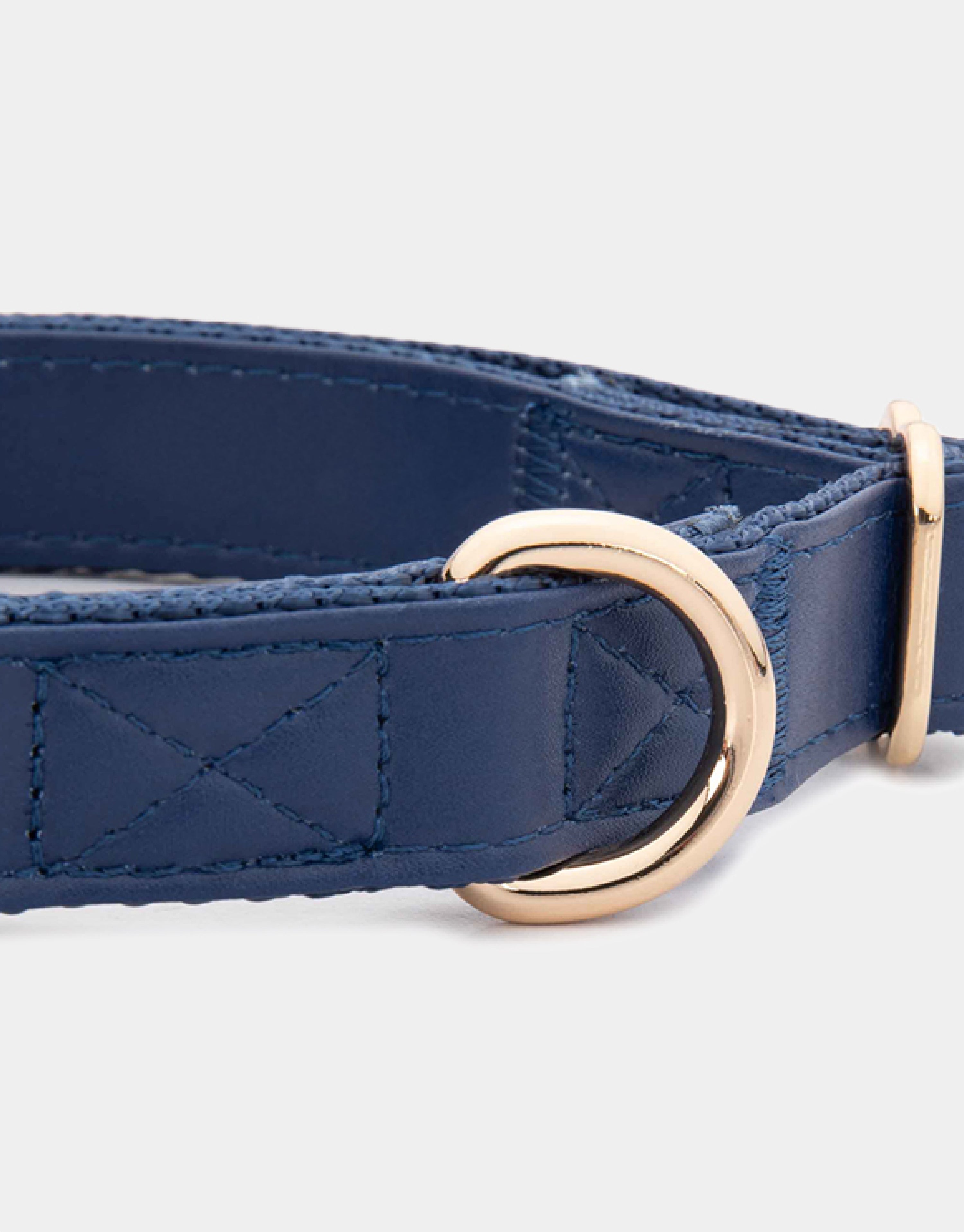 Dog Collar in Blue