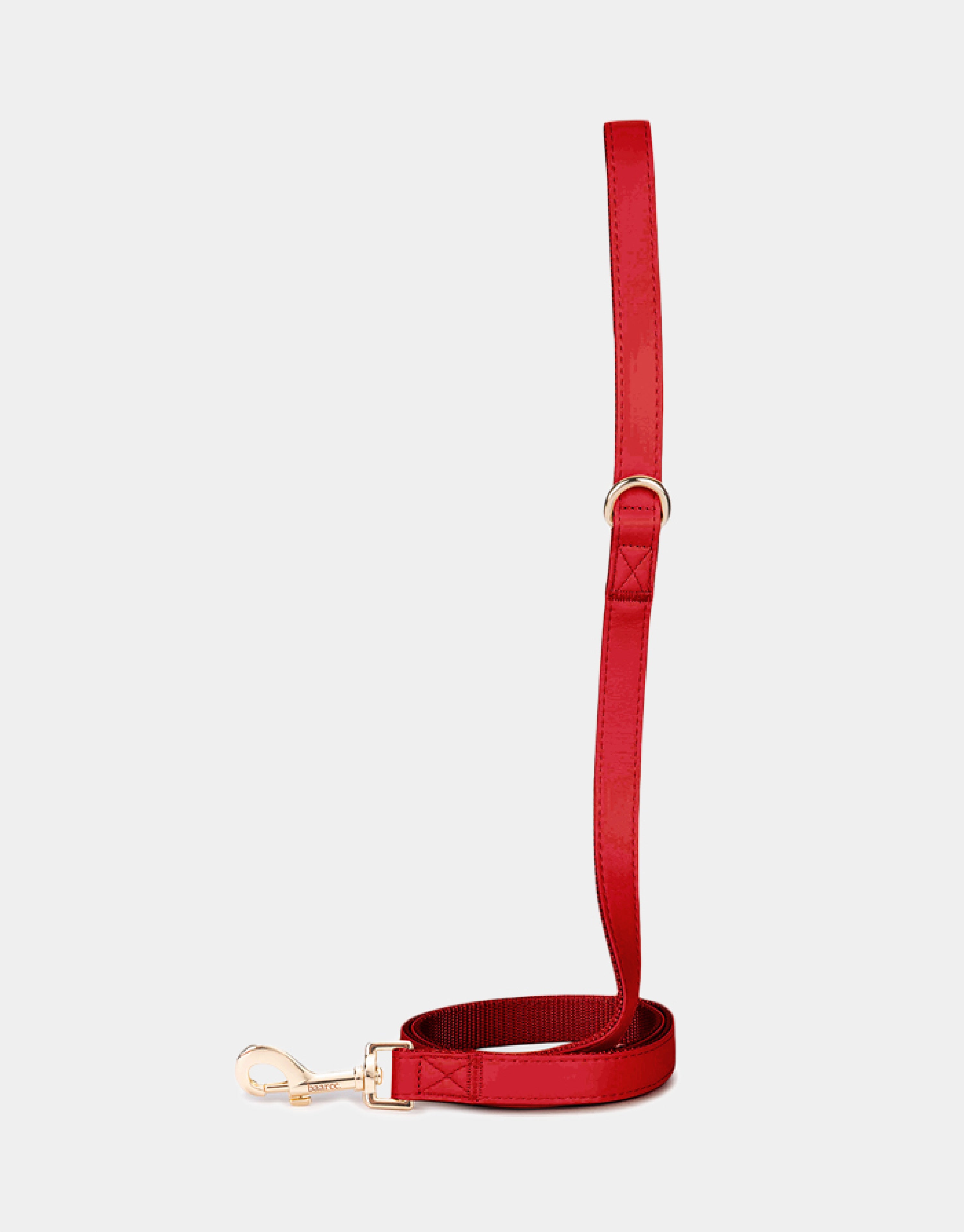 Dog Leash in Red