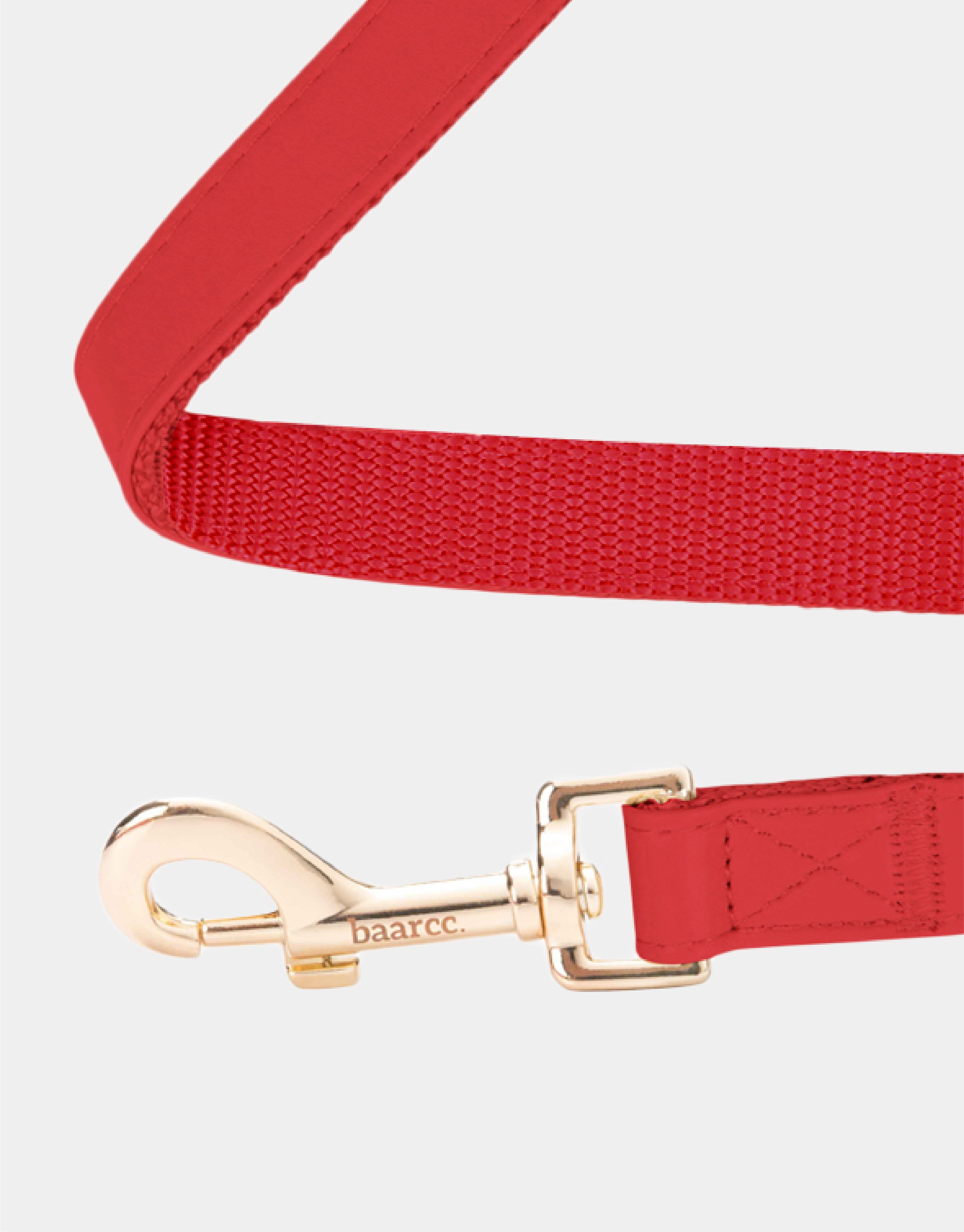Dog Leash in Red