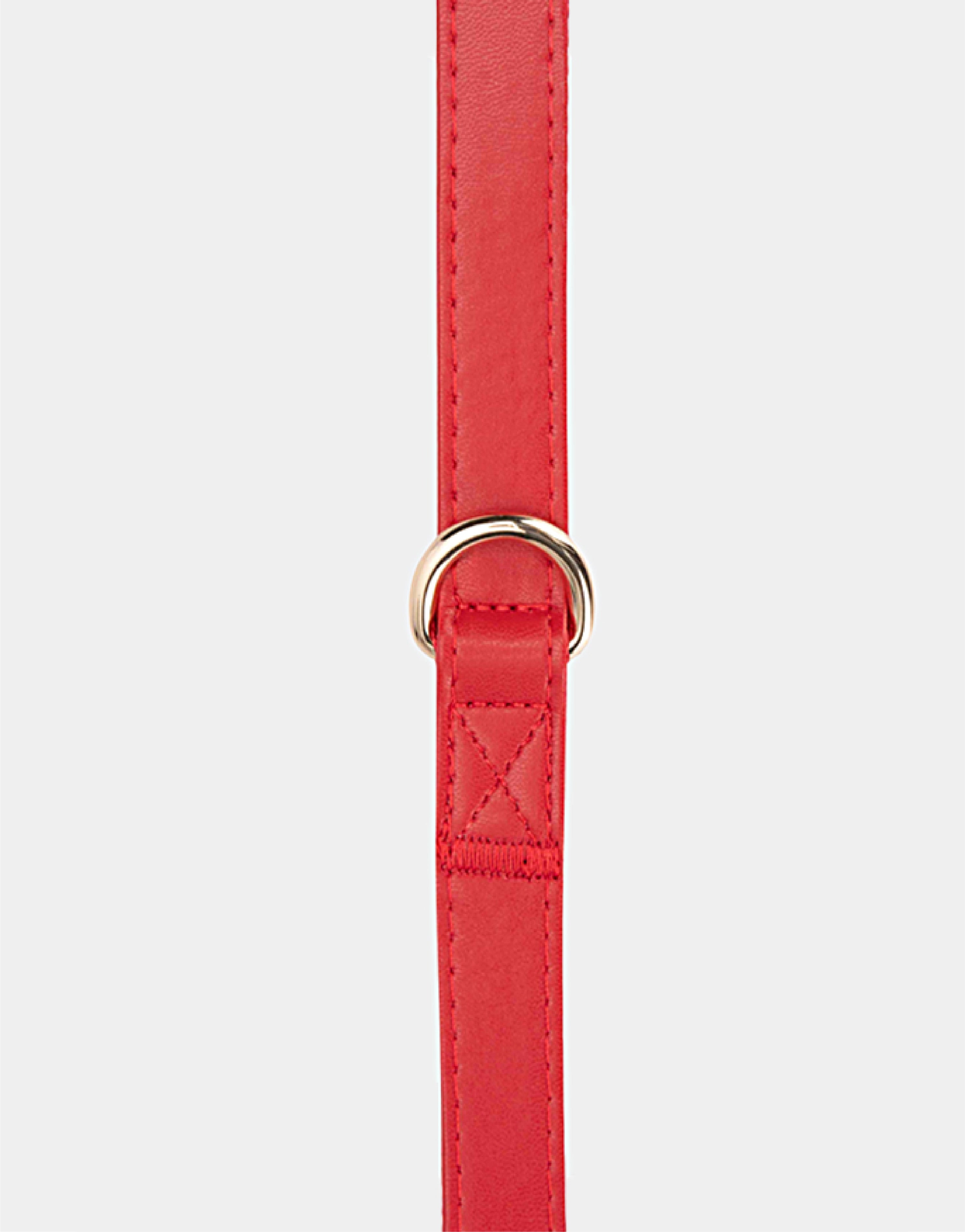 Dog Leash in Red