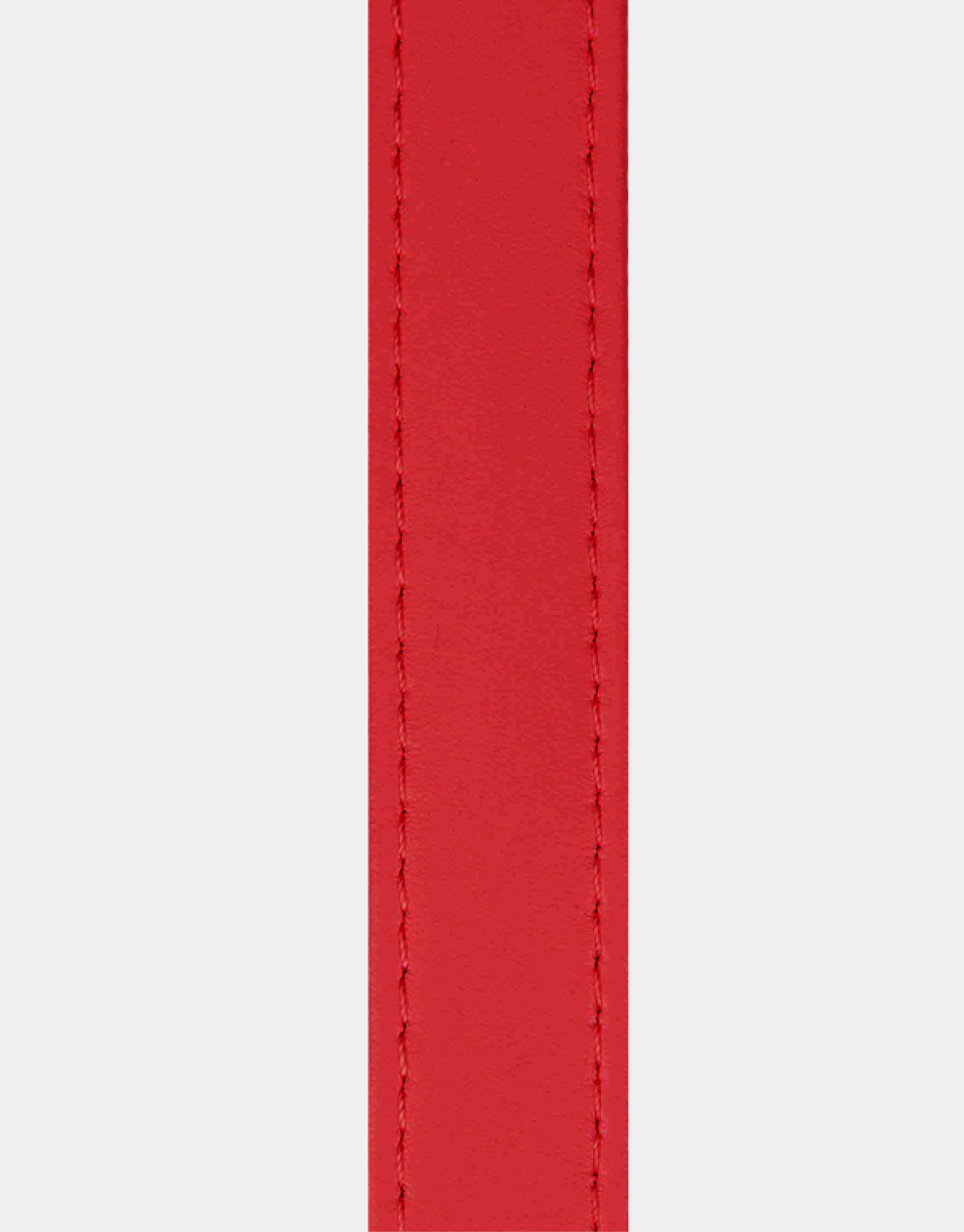 Dog Leash in Red