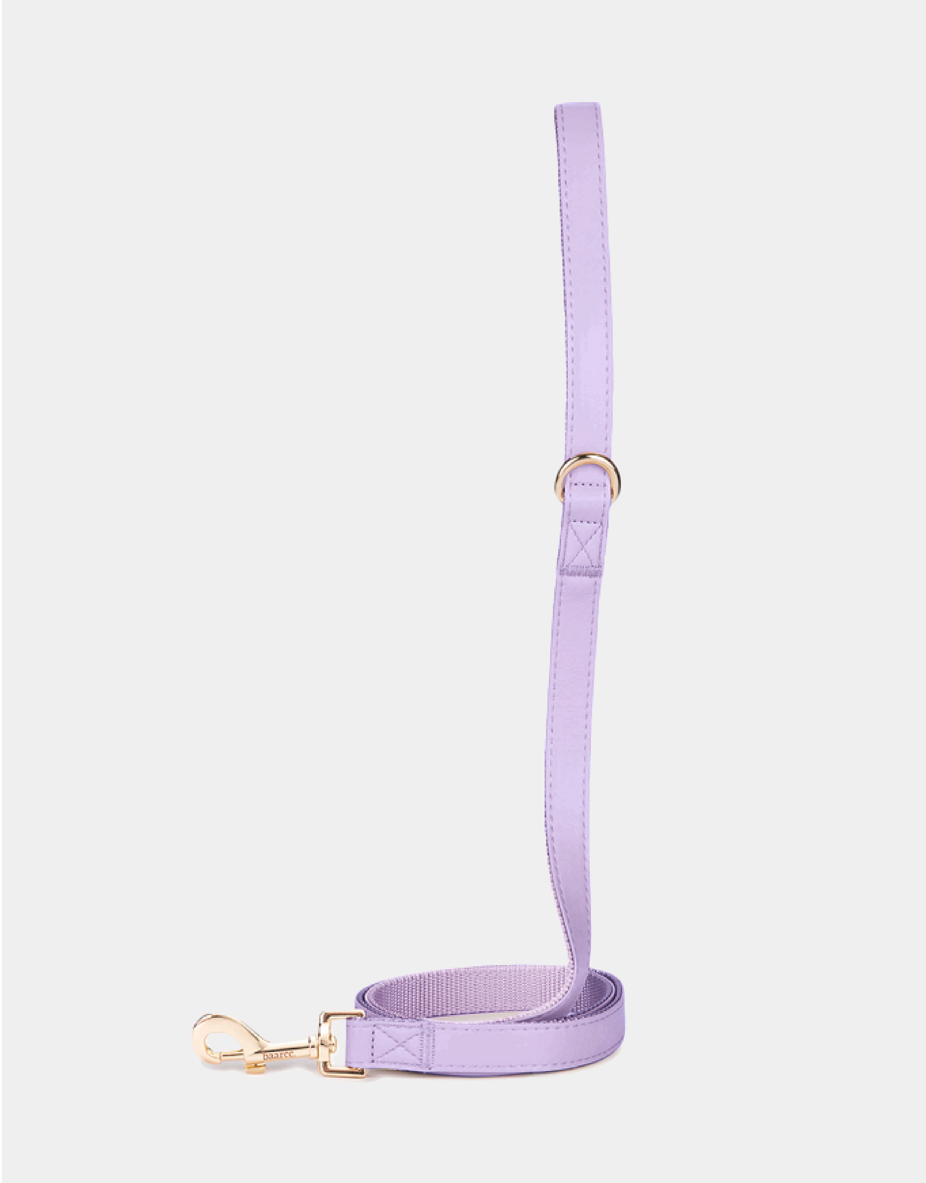 Dog Leash in Purple