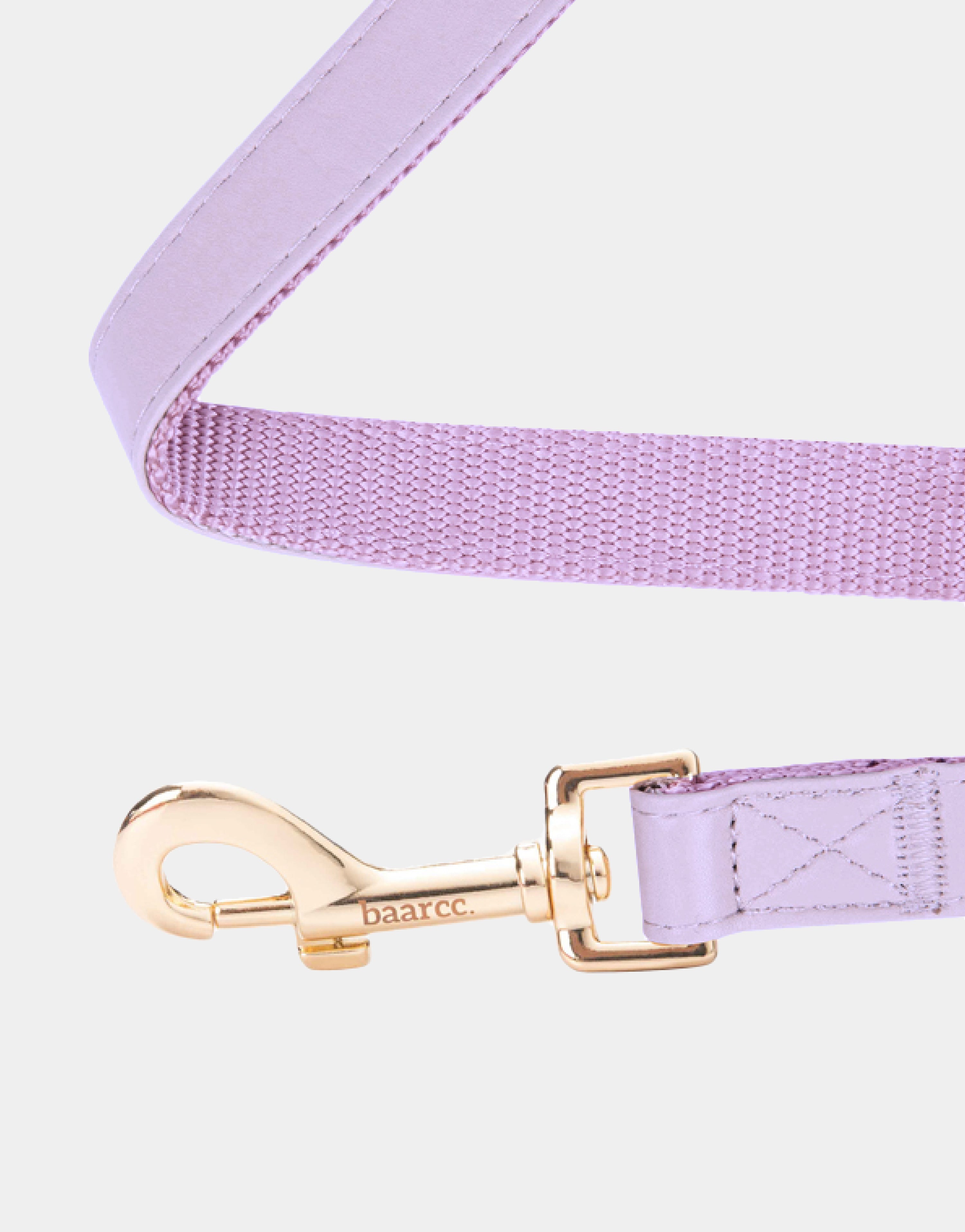 Dog Leash in Purple