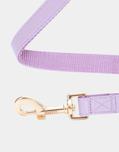 Classic Leash in Purple