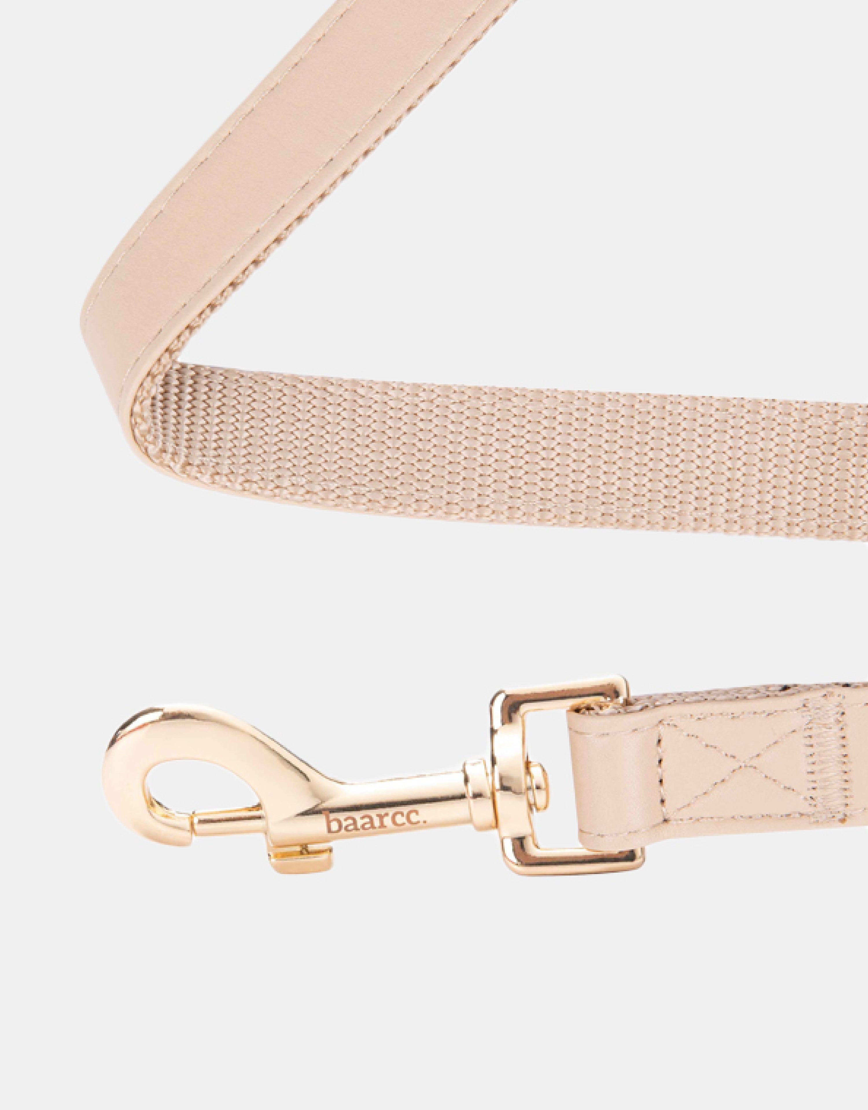 Dog Leash in Beige