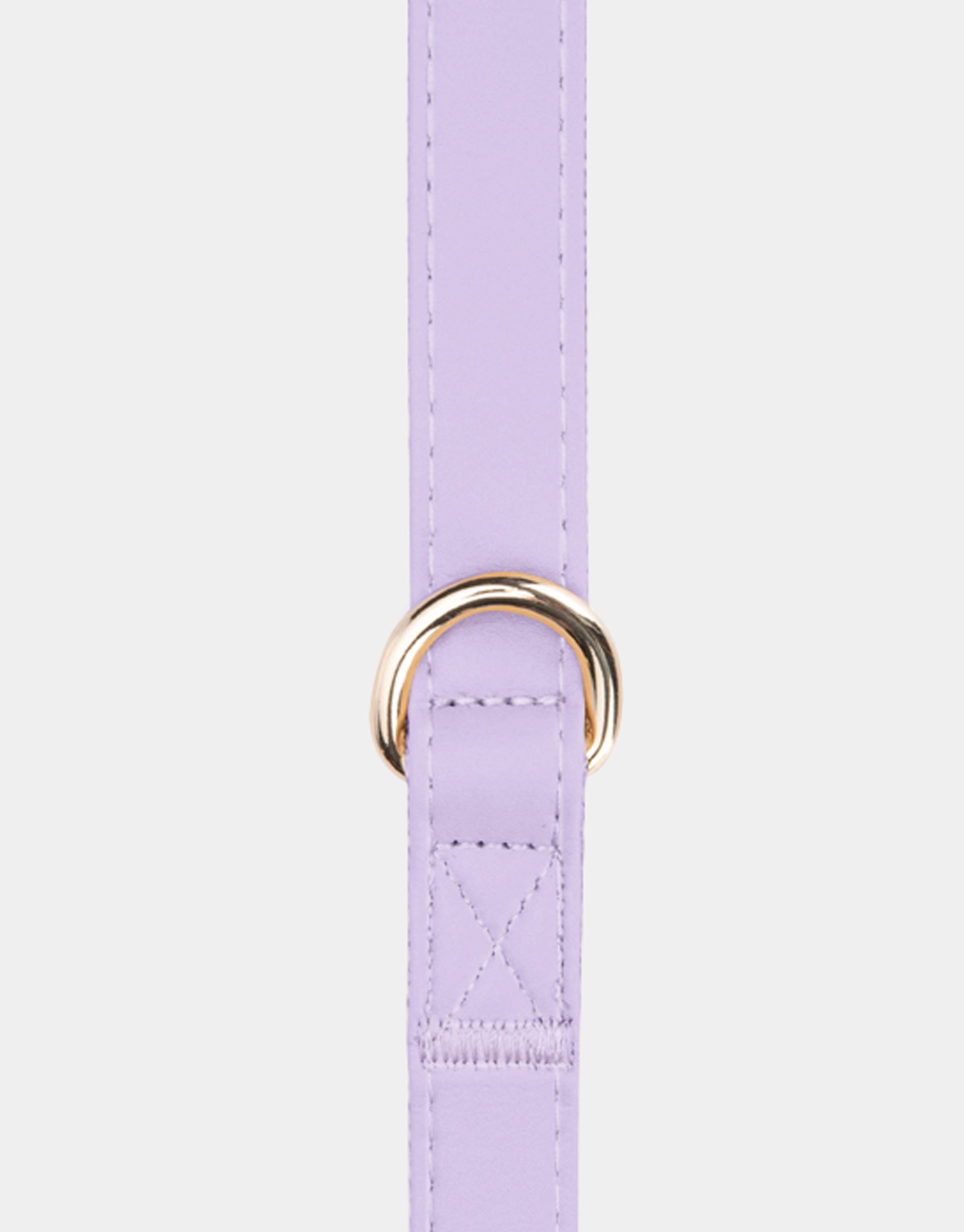 Dog Leash in Purple