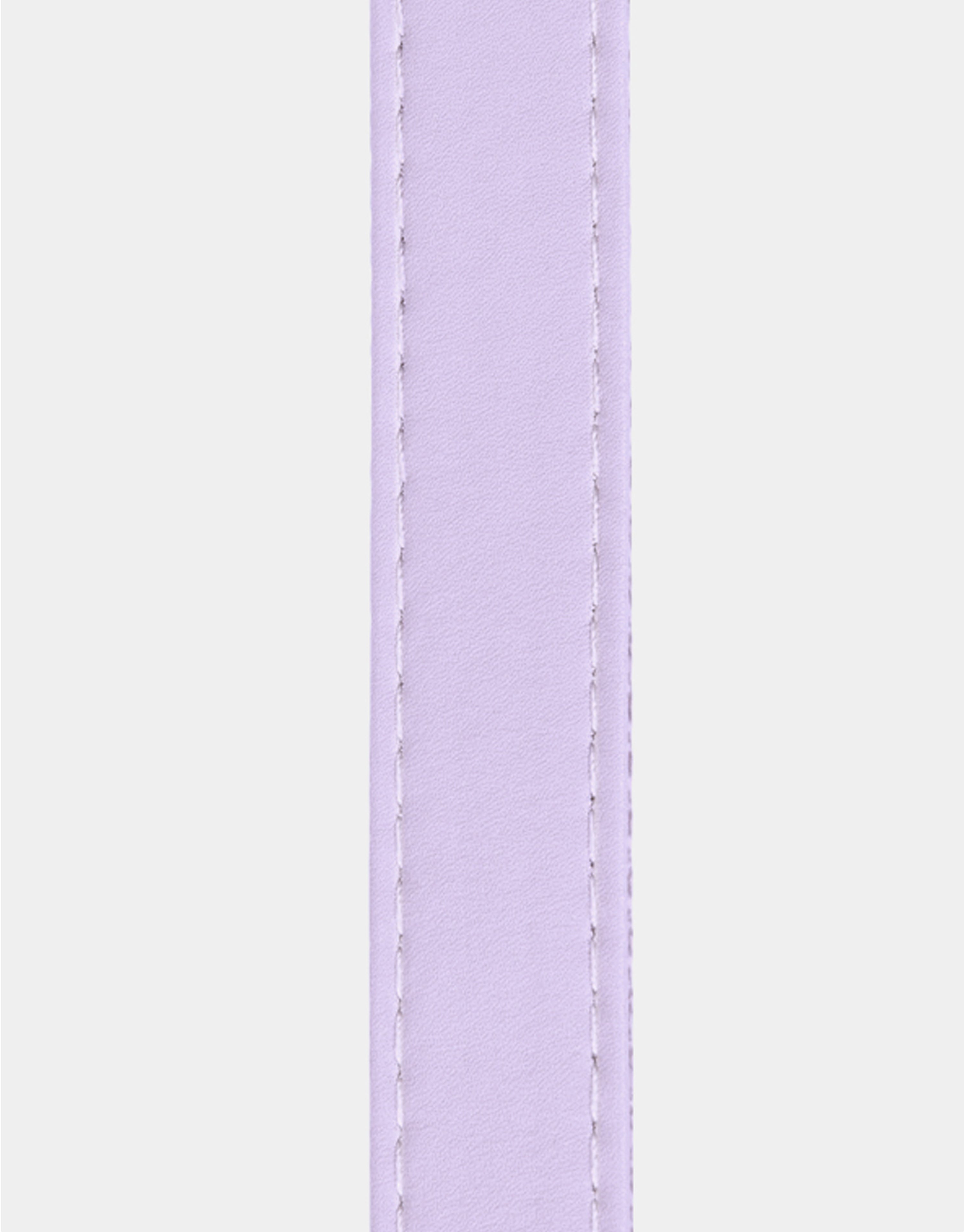 Dog Leash in Purple