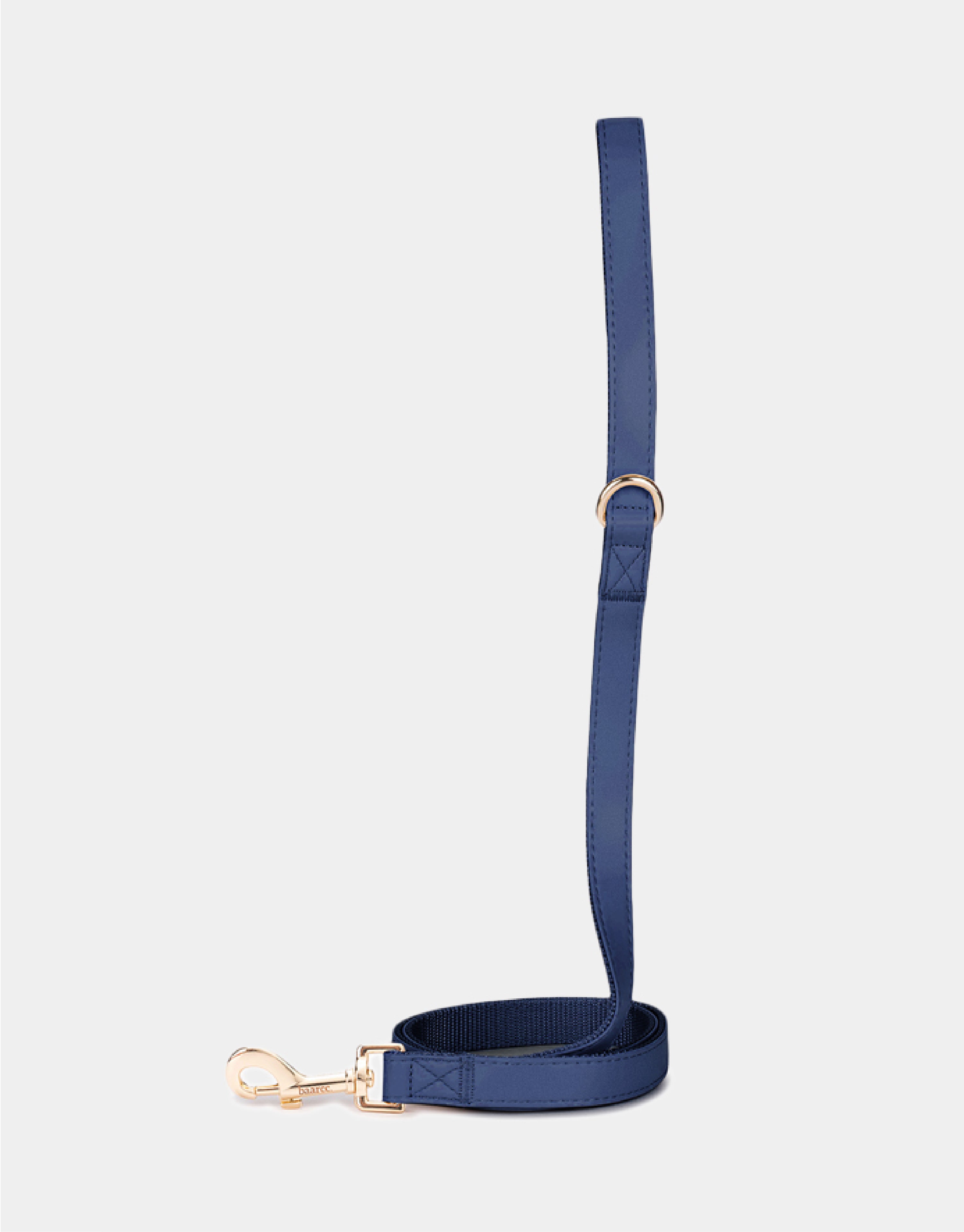 Dog Leash in Blue