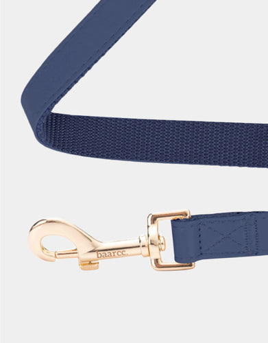 Classic Leash in Blue