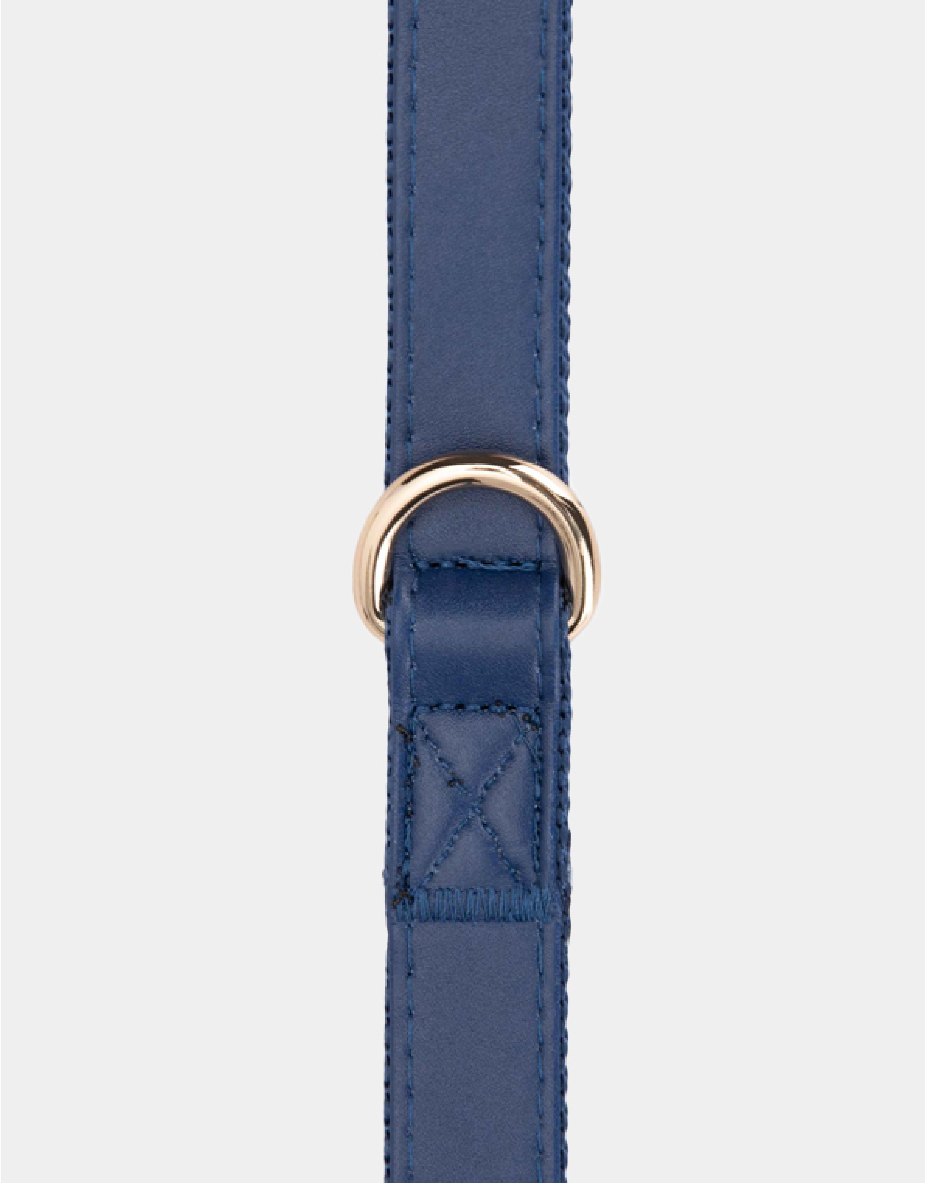 Dog Leash in Blue
