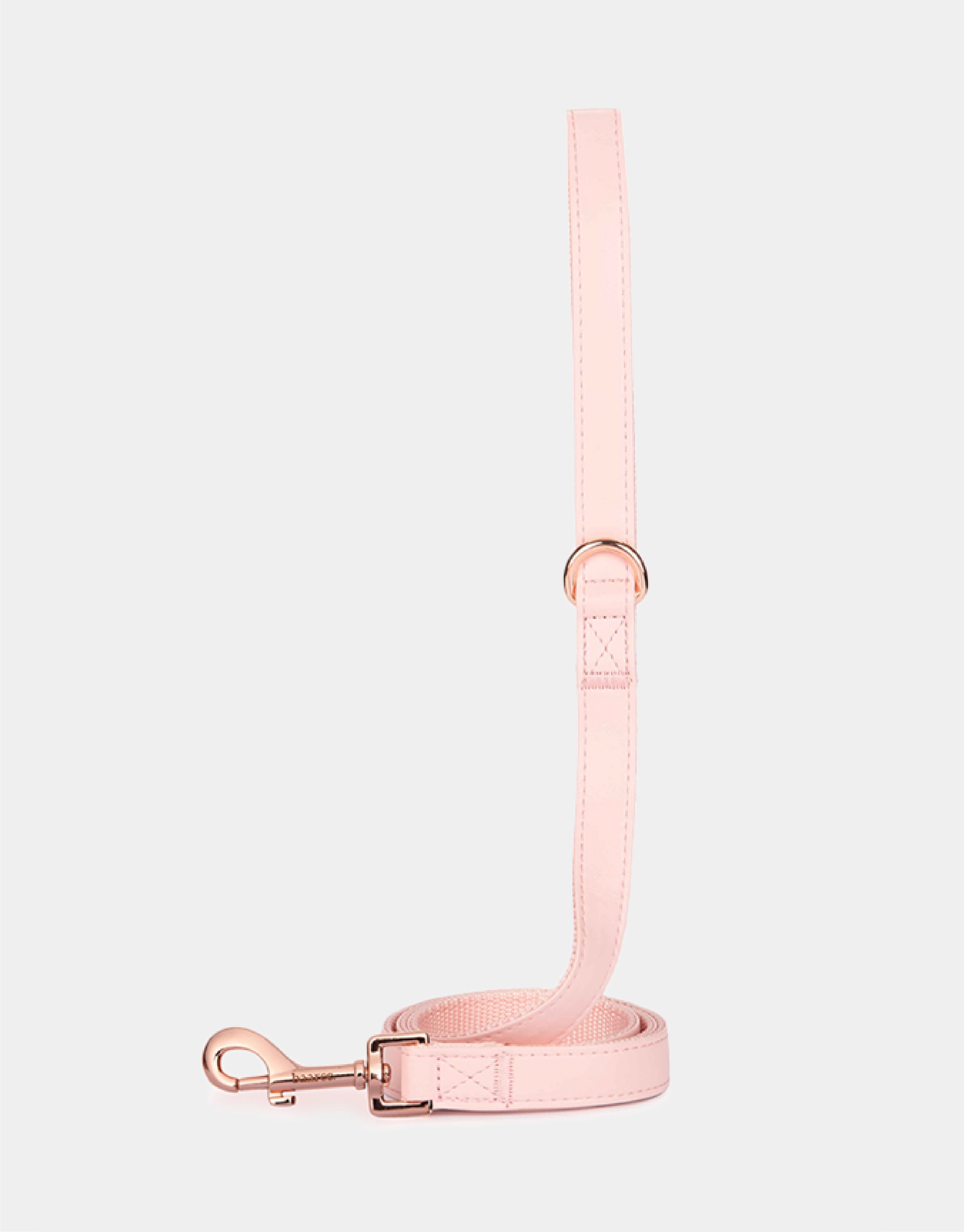 Dog Leash in Pink