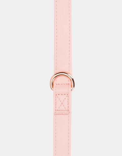 Classic Leash in Pink